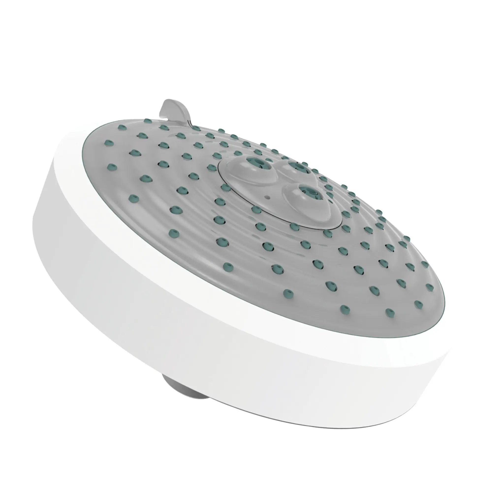 Newport Brass Tub & Shower Multifunction Showerhead by Newport Brass