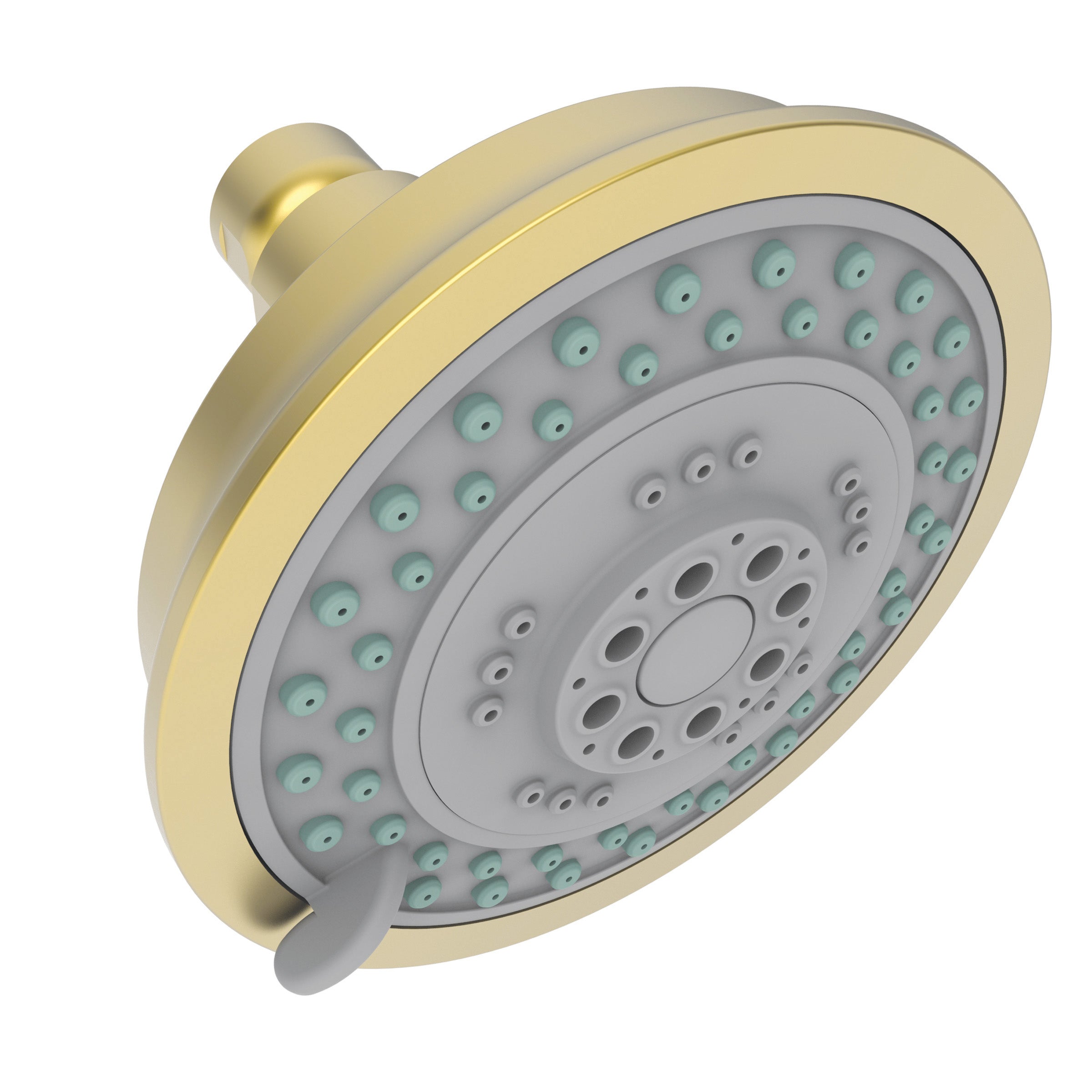Newport Brass Tub & Shower Multifunction Showerhead