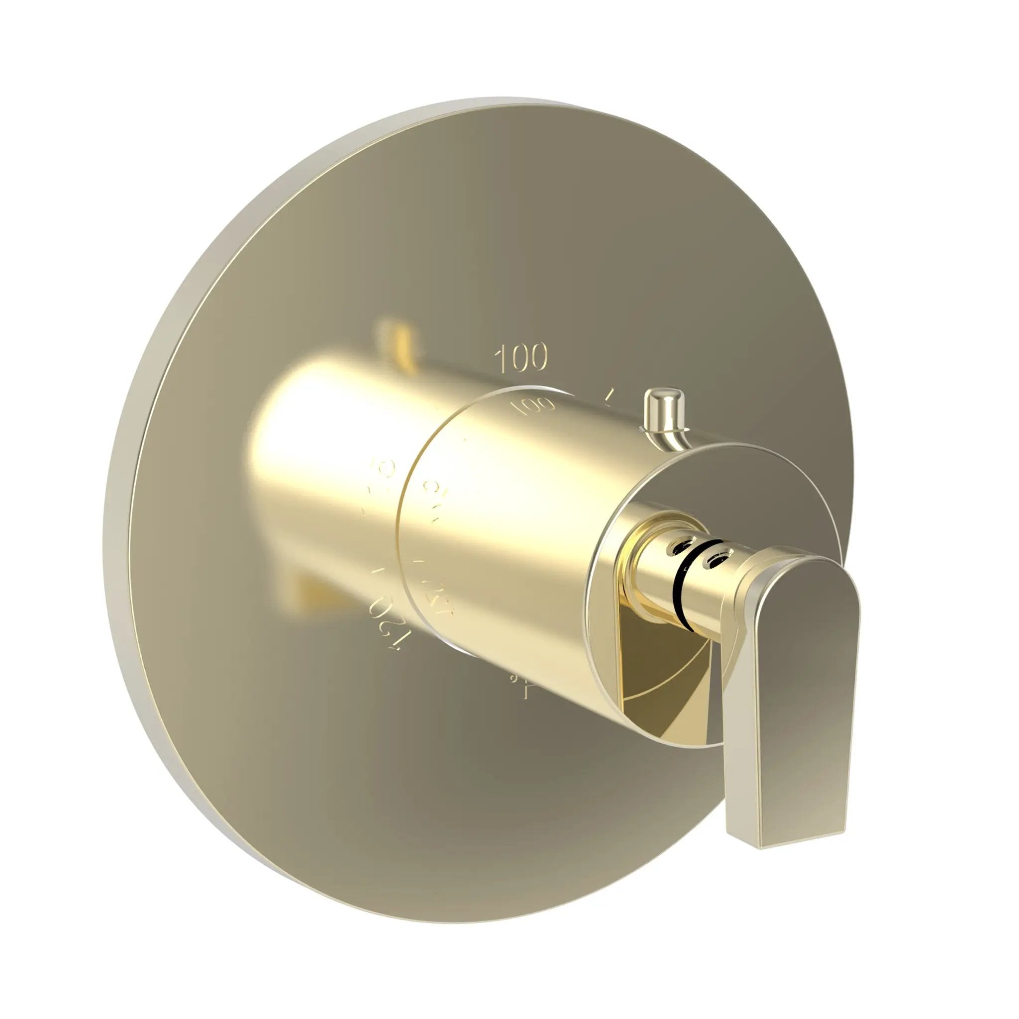 Newport Brass Dorrance 3/4" Round Thermostatic Trim Plate with Handle by Newport Brass
