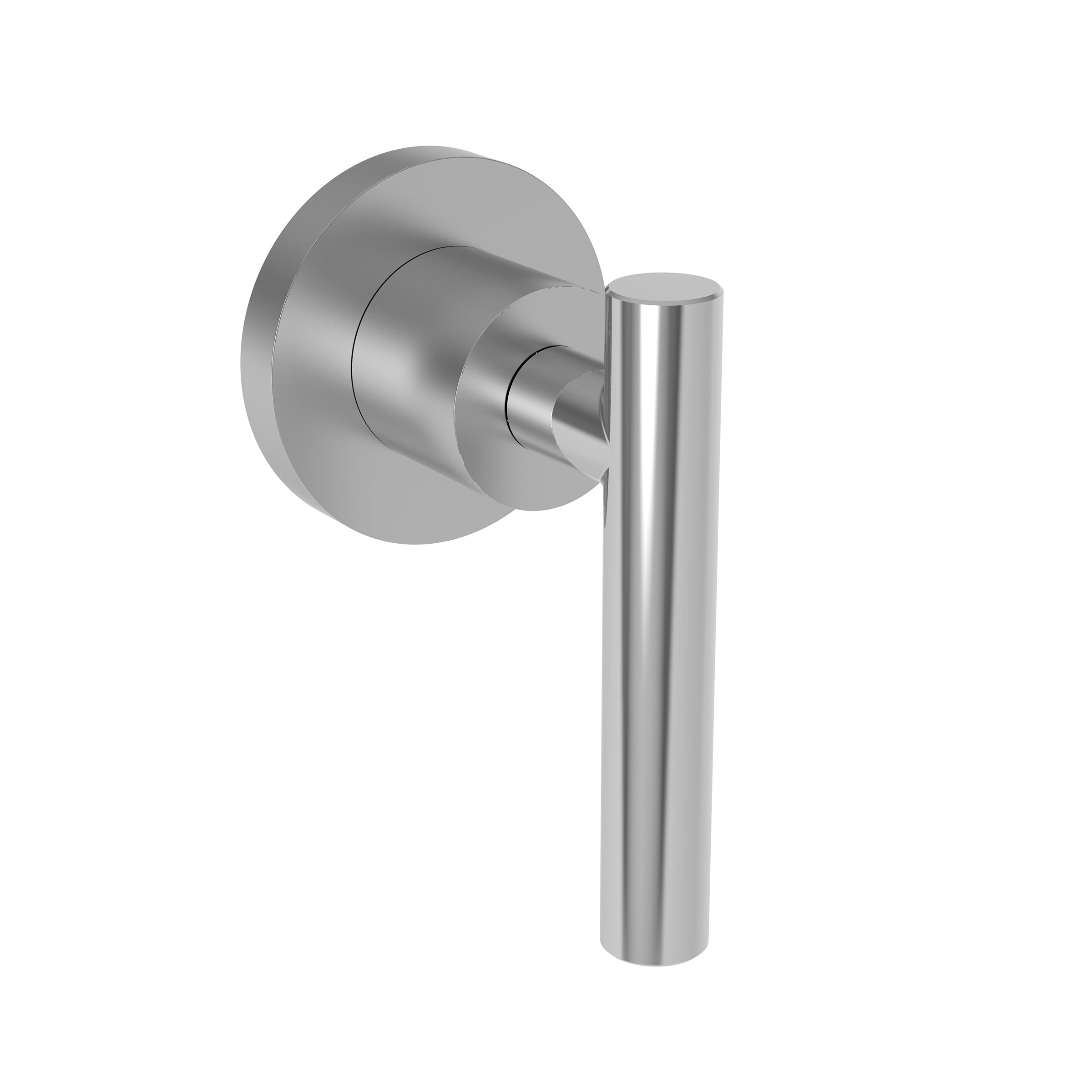 polished chrome control handle