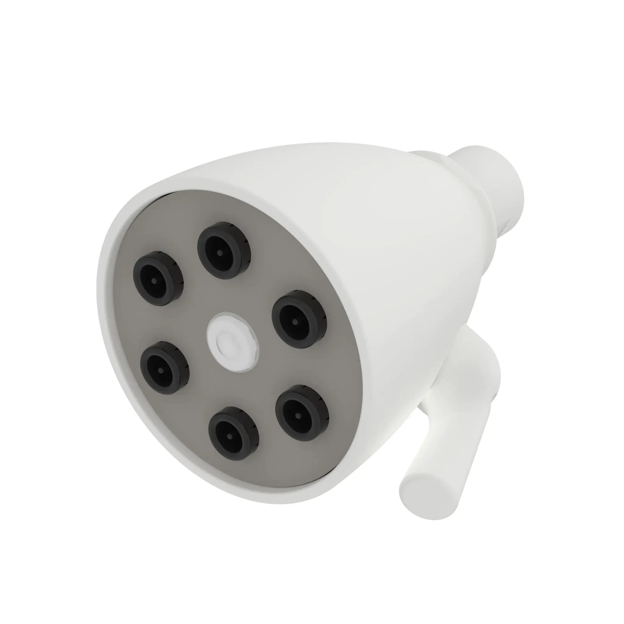 Newport Brass Tub & Shower Single Function Shower Head by Newport Brass