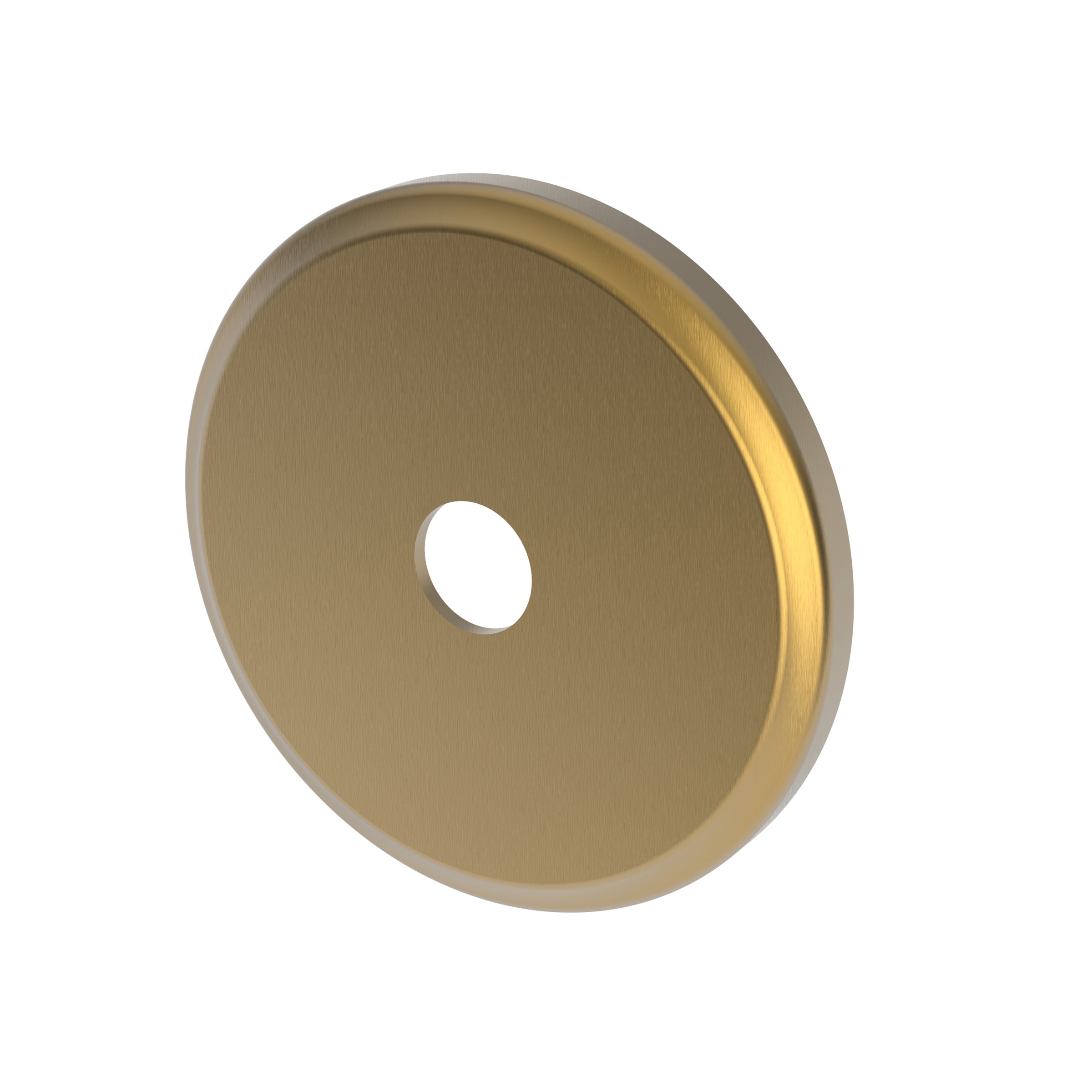 Newport Brass Tub & Shower Diverter Plate