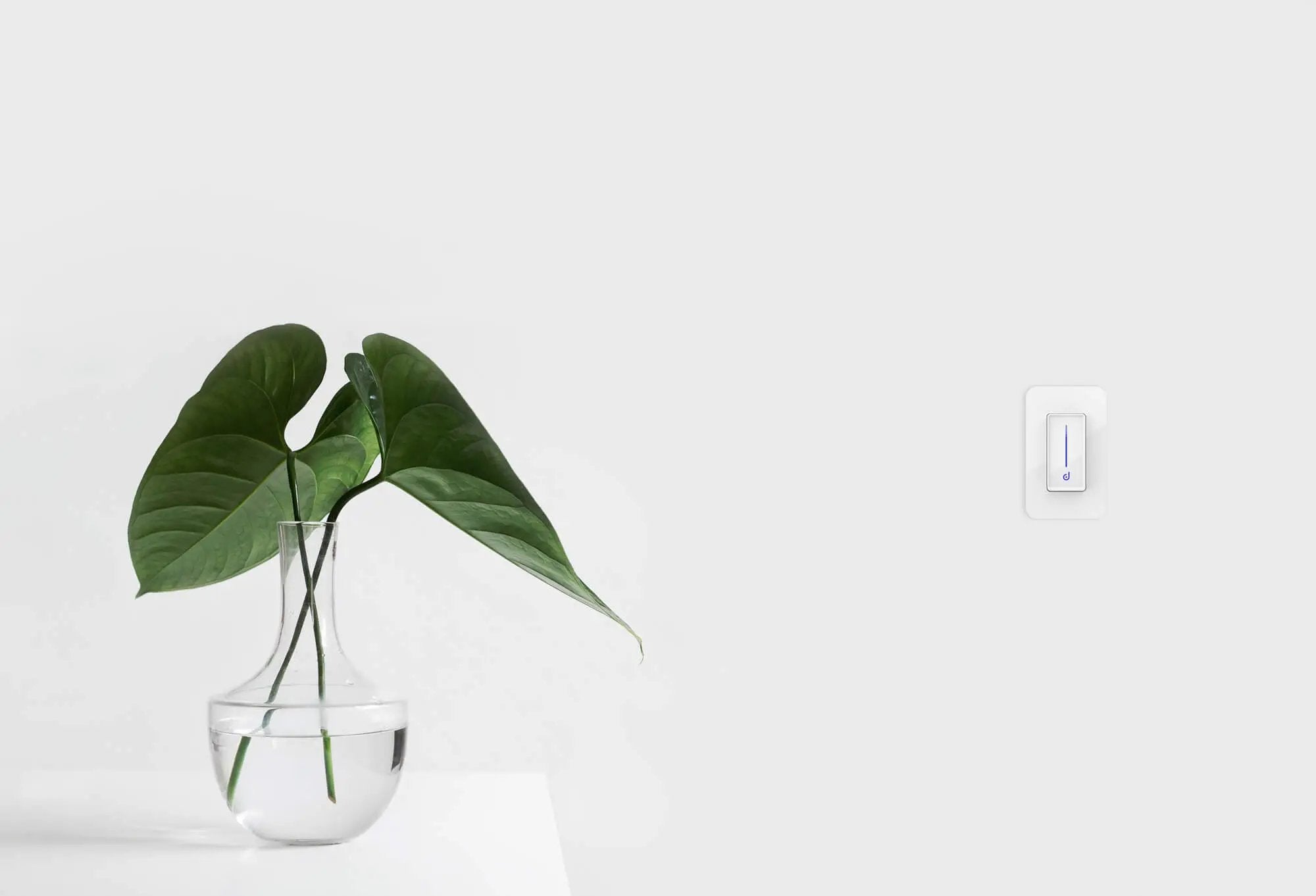 white light