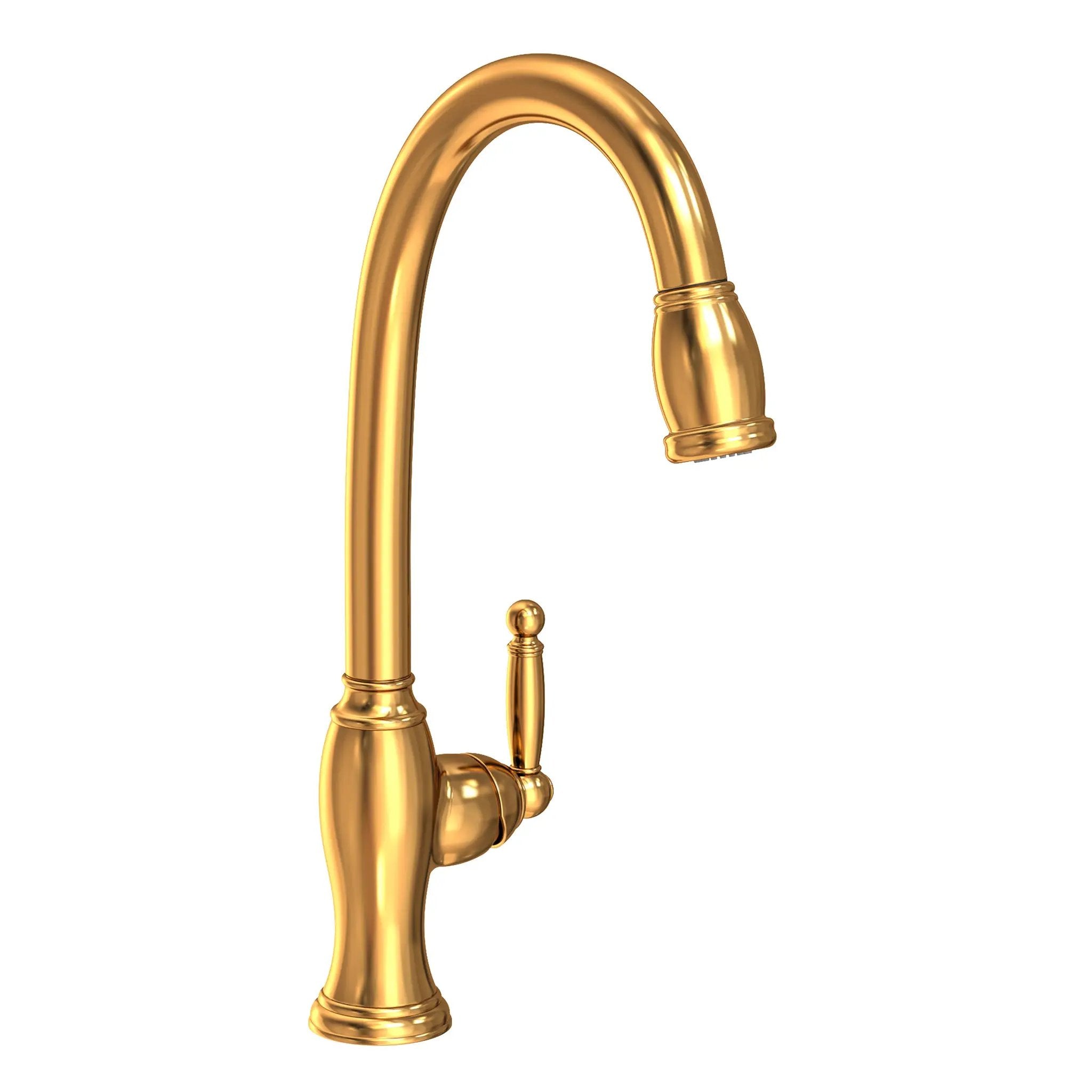 Newport Brass Nadya Pull-down Kitchen Faucet by Newport Brass