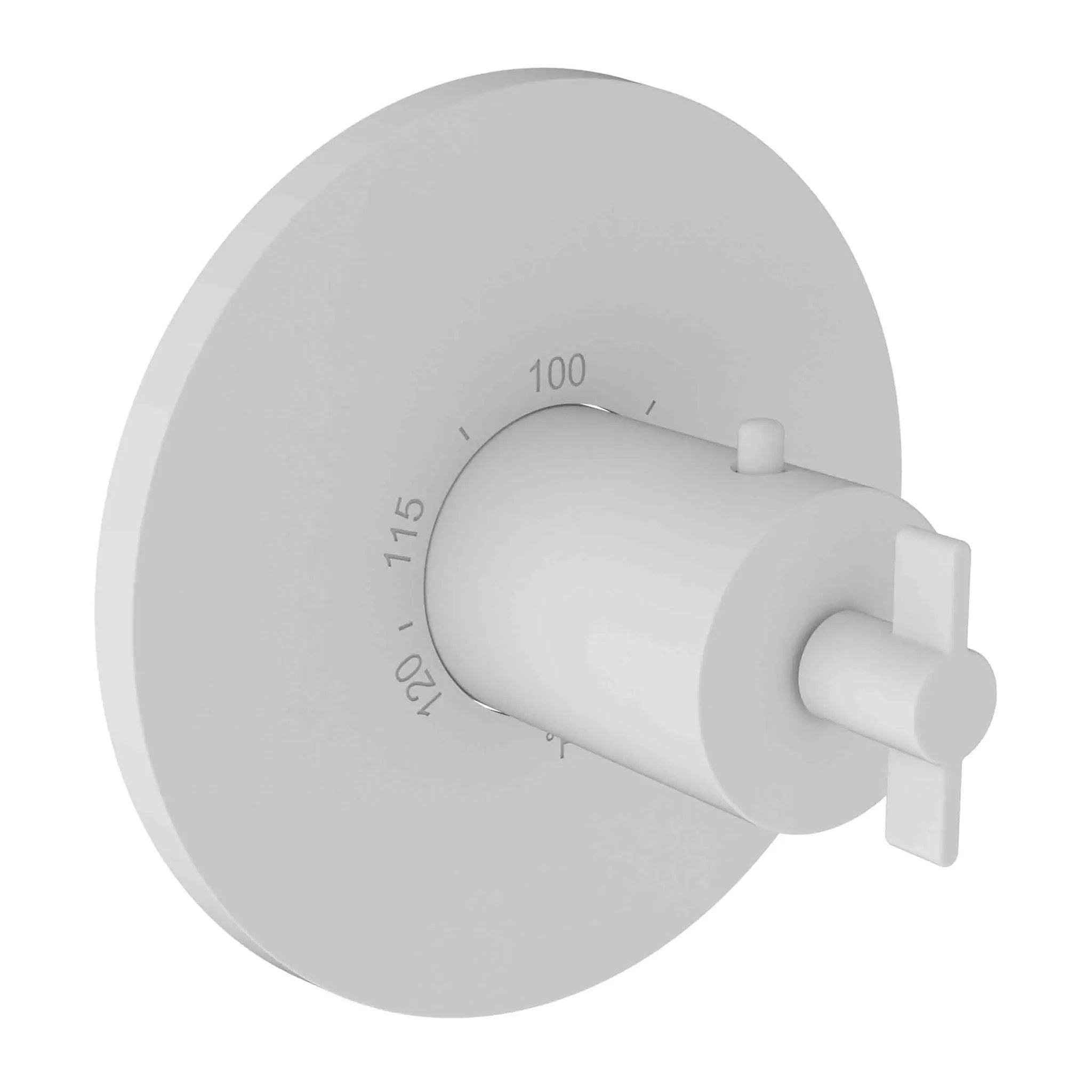 Newport Brass Tolmin 3/4" Round Thermostatic Trim Plate with Handle by Newport Brass