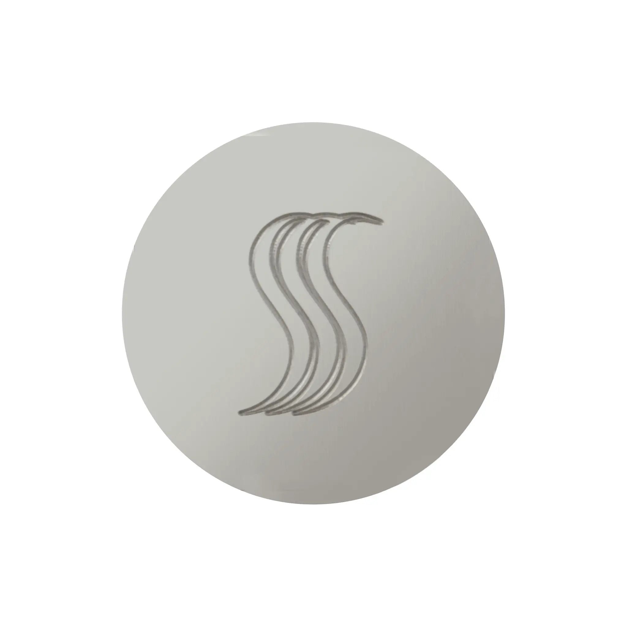 polished chrome steam head