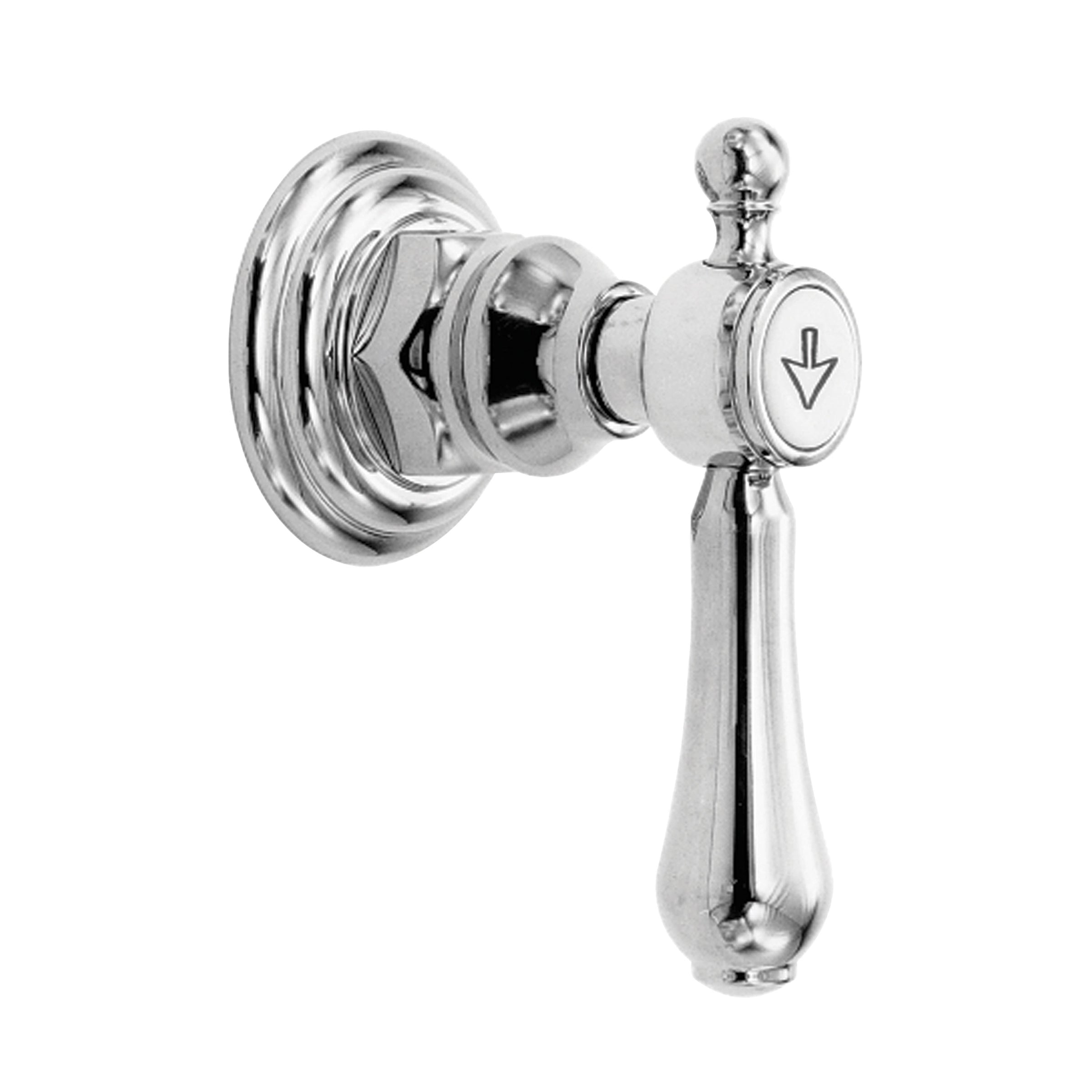 polished chrome flow control handle