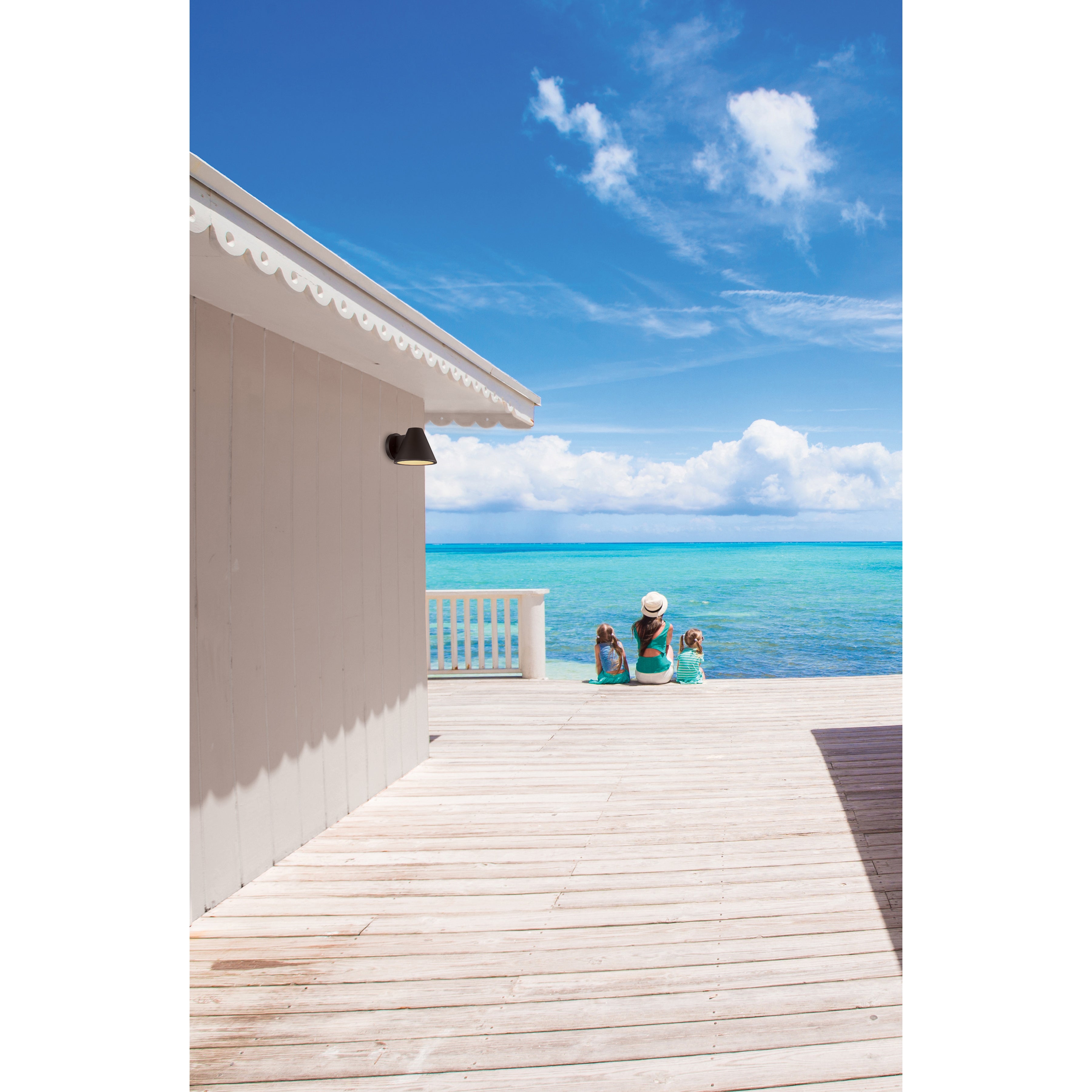 bronze led turtle friendly wall mount