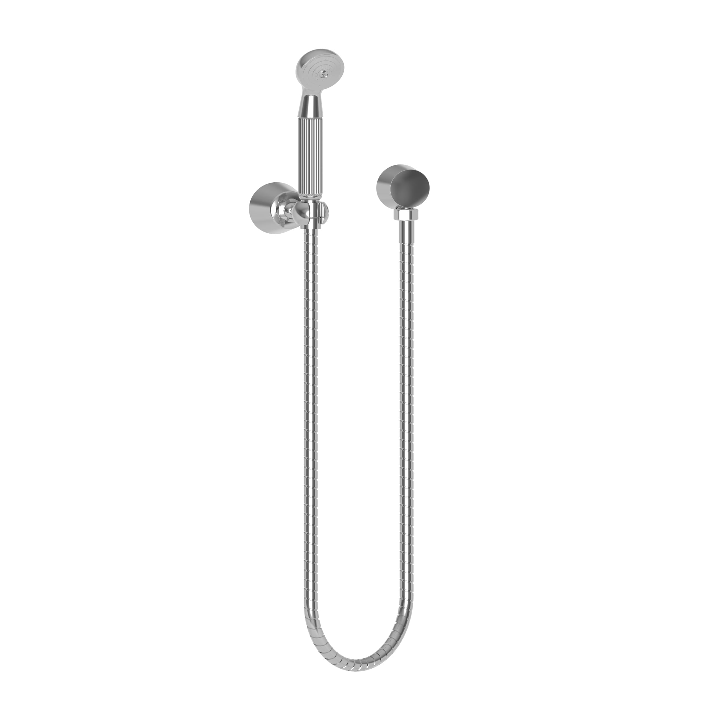 polished chrome hand shower