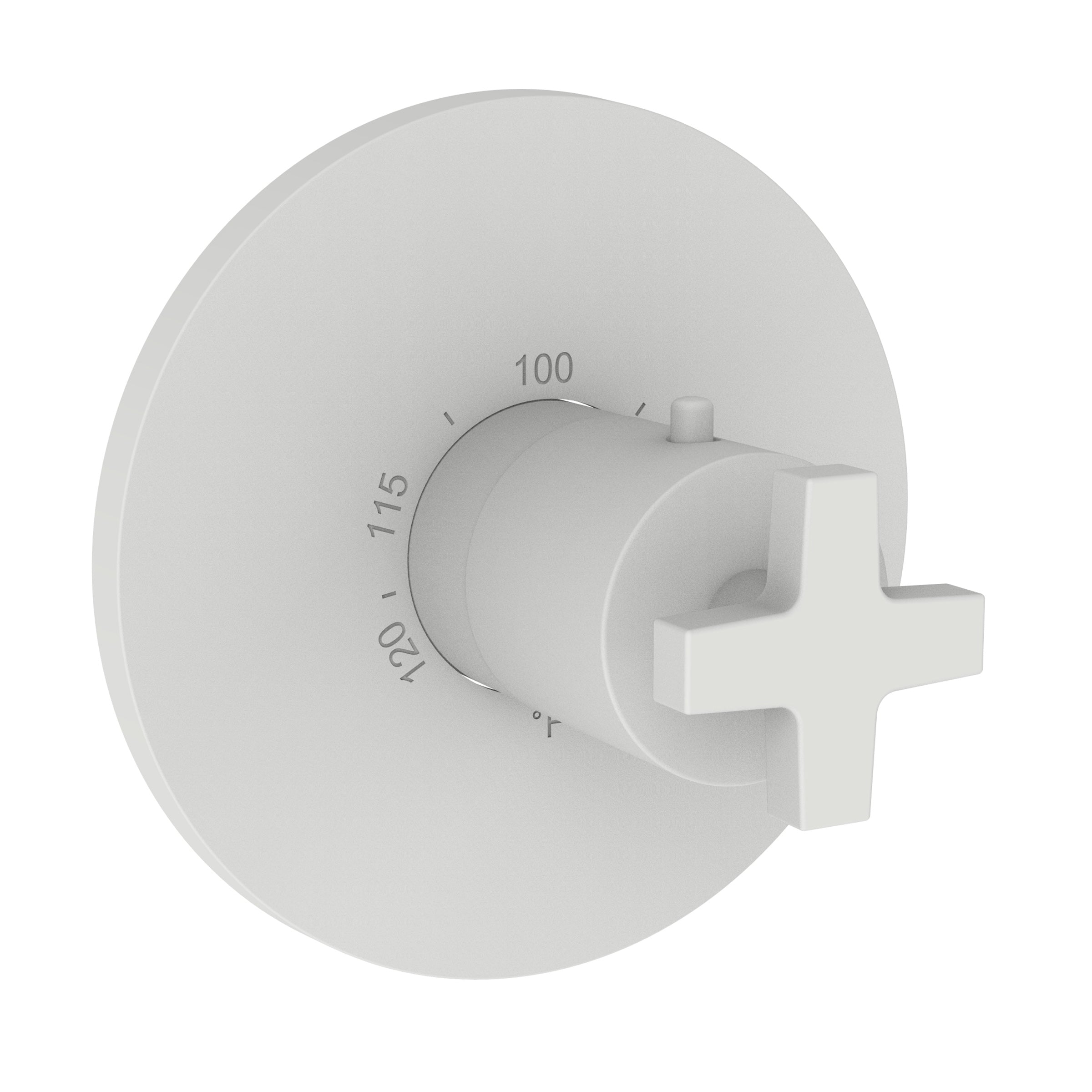 Newport Brass Dorrance 3/4" Round Thermostatic Trim Plate with Handle