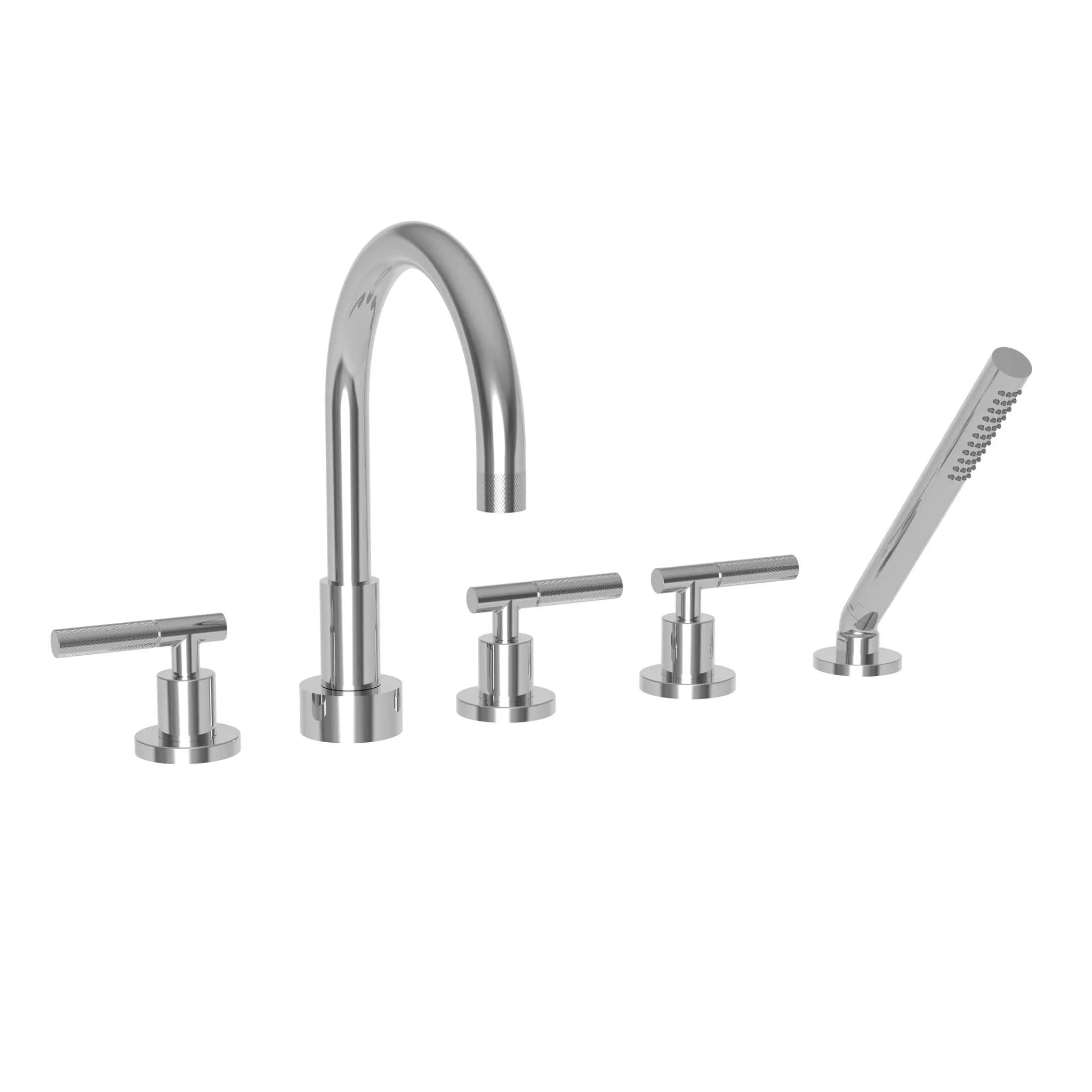 polished chrome hand shower