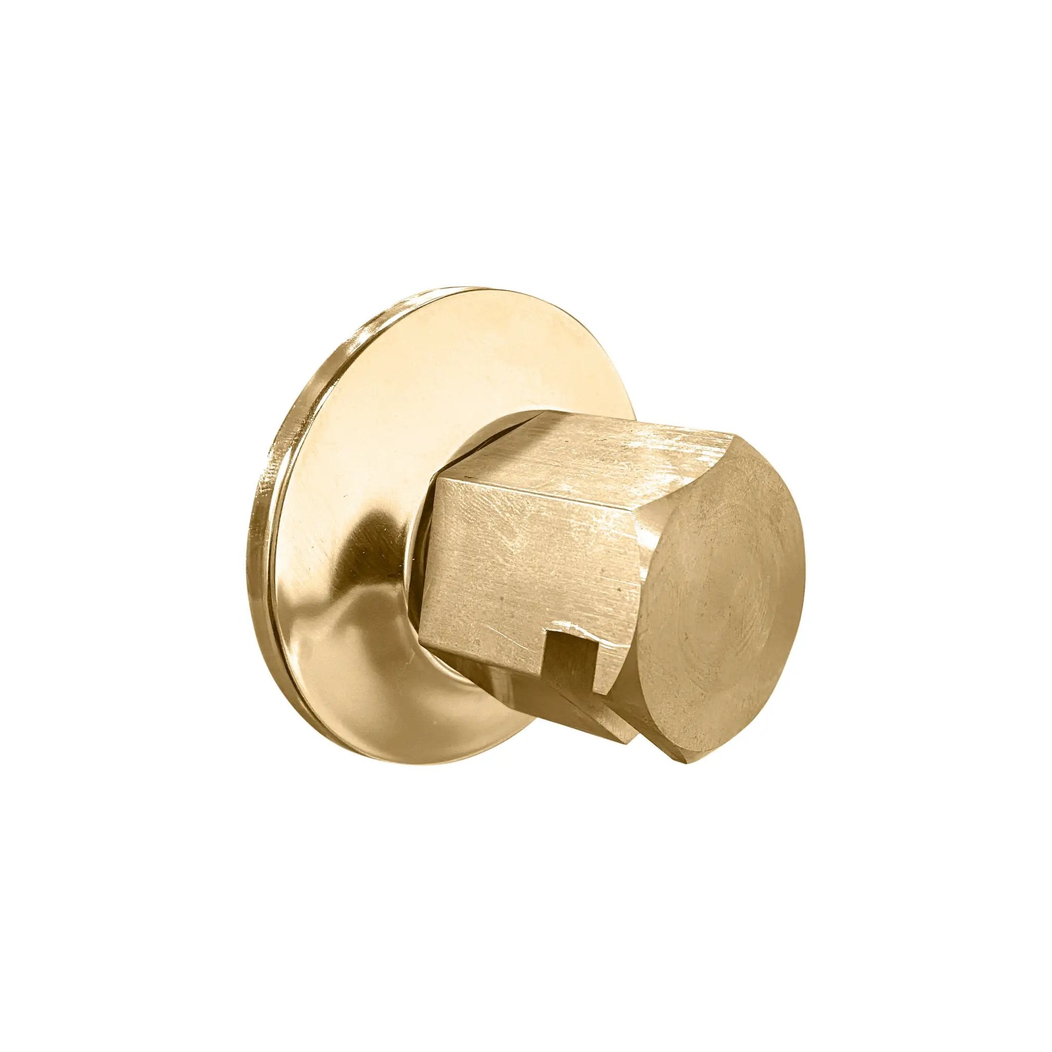 Thermasol Traditional 0.75" Style Steam Head by Thermasol