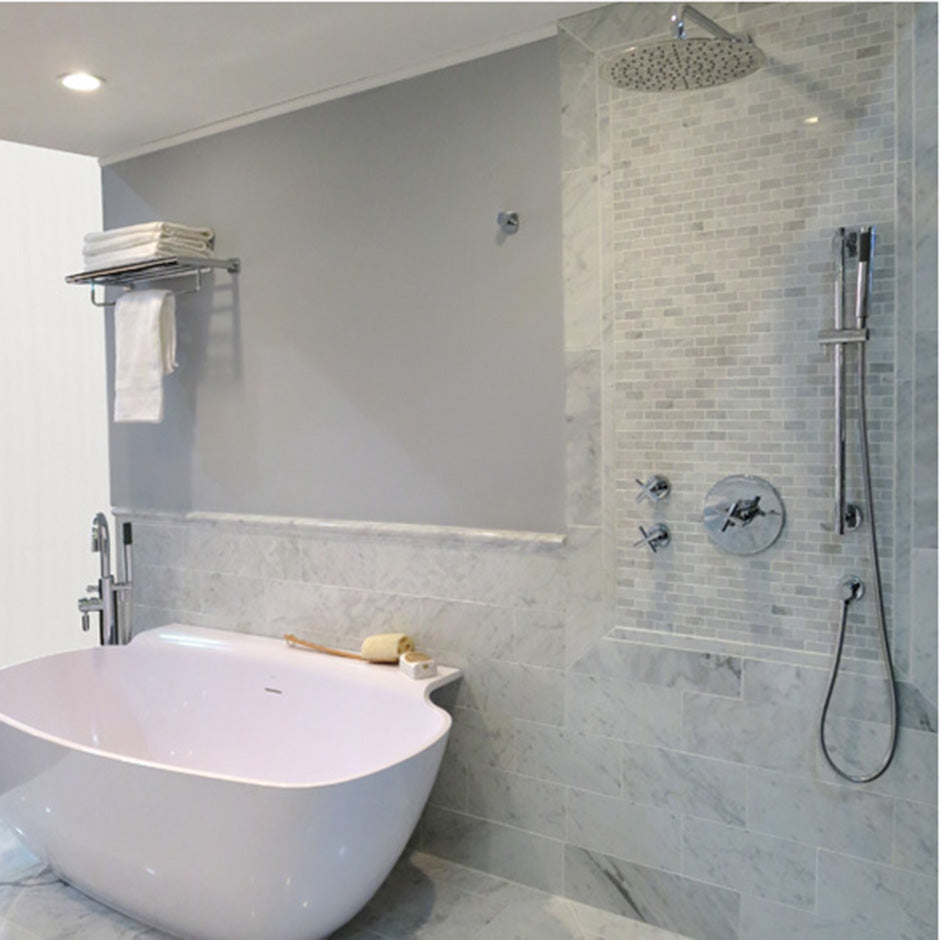 polished chrome hand shower