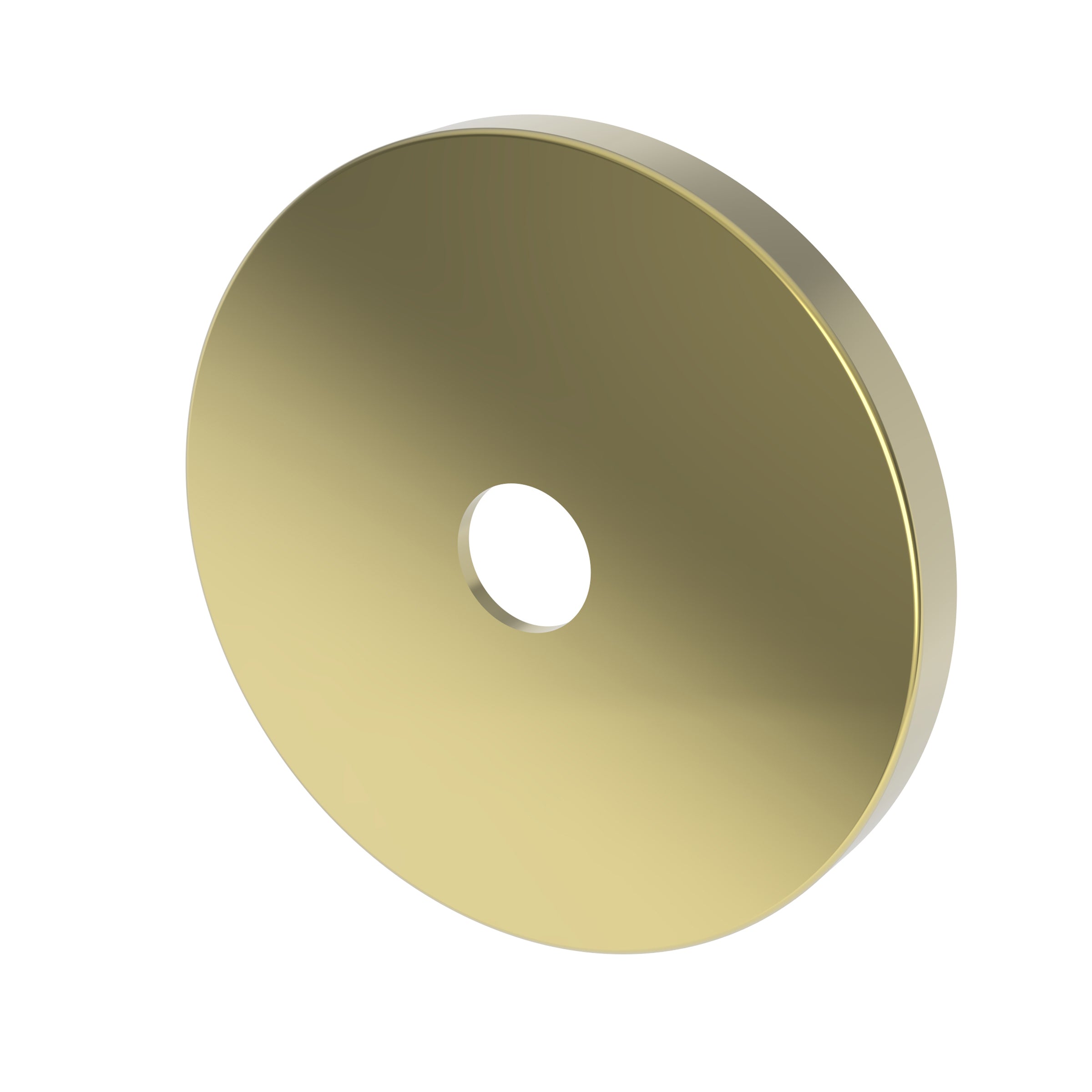 Newport Brass Tub & Shower Diverter Plate