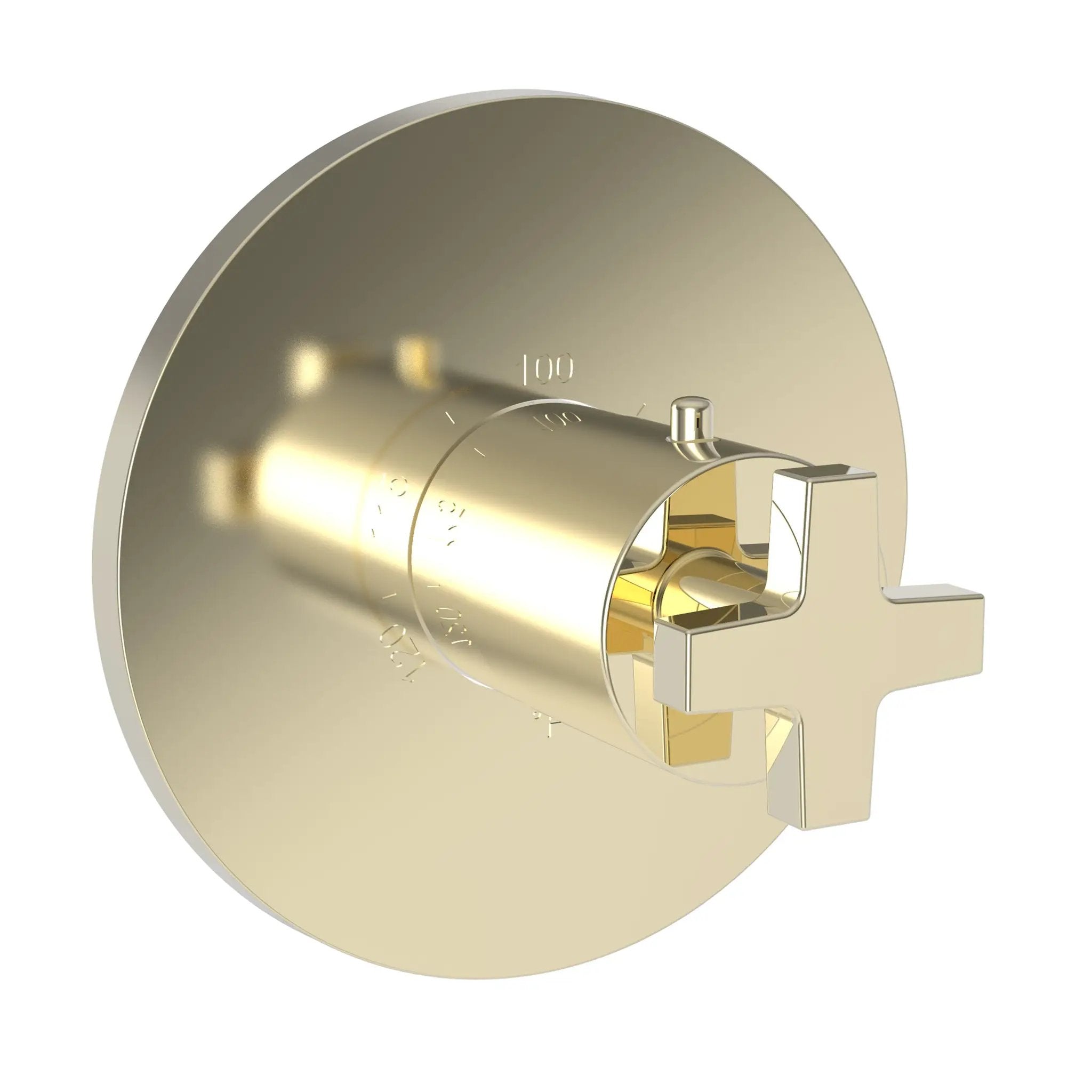 Newport Brass Dorrance 3/4" Round Thermostatic Trim Plate with Handle by Newport Brass