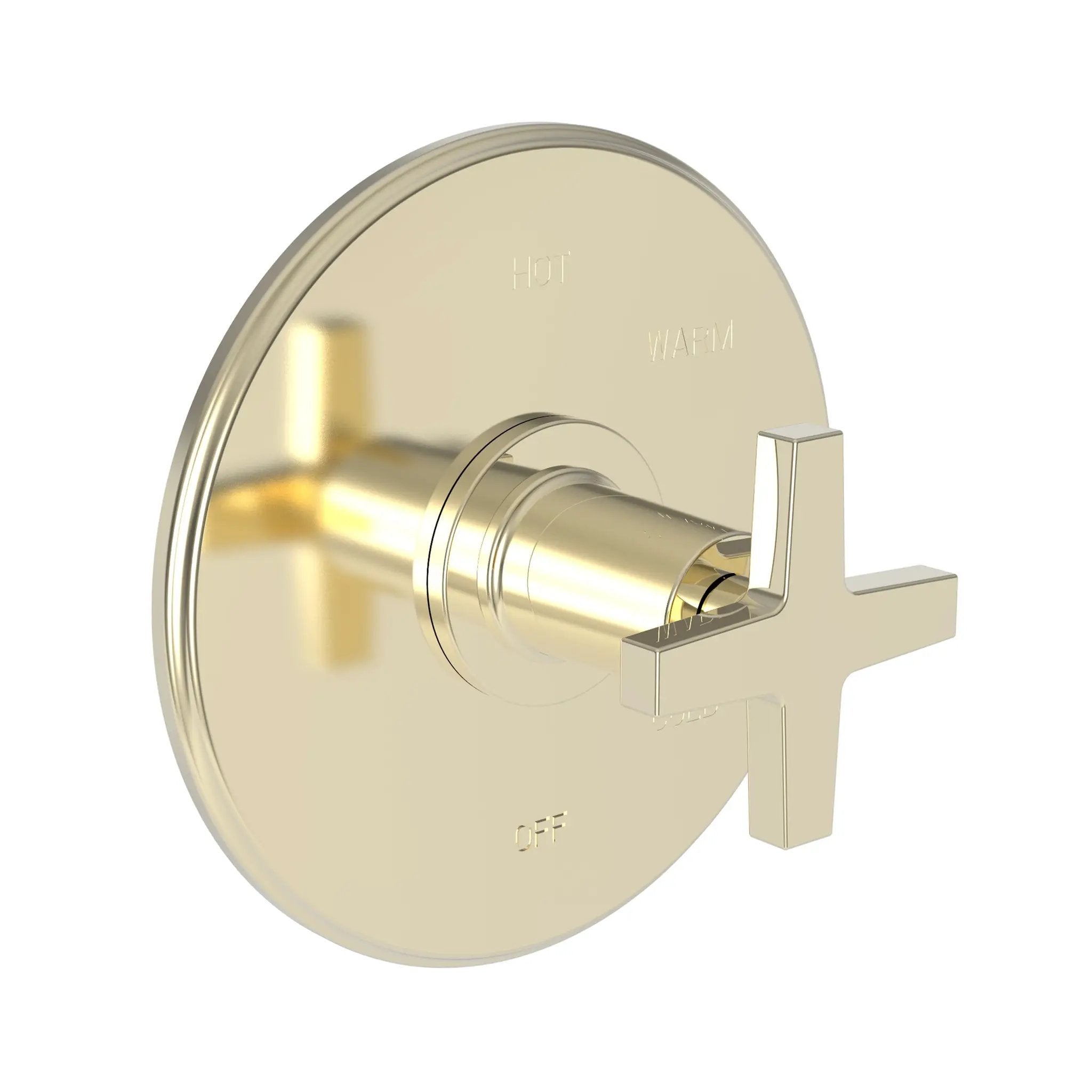 Newport Brass Dorrance Balanced Pressure Shower Trim Plate with Handle. Less showerhead, arm and flange. by Newport Brass