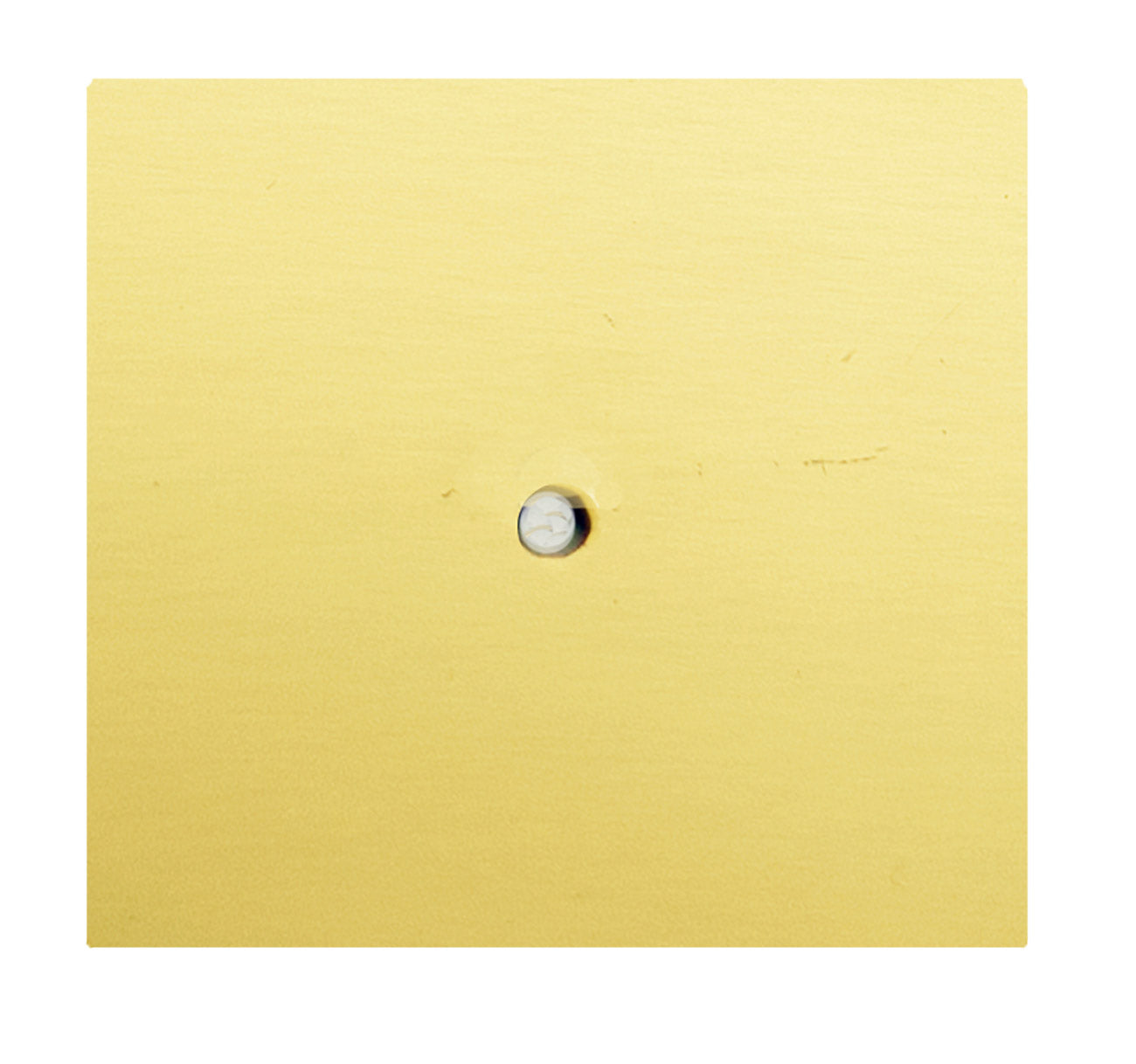 satin brass backplate