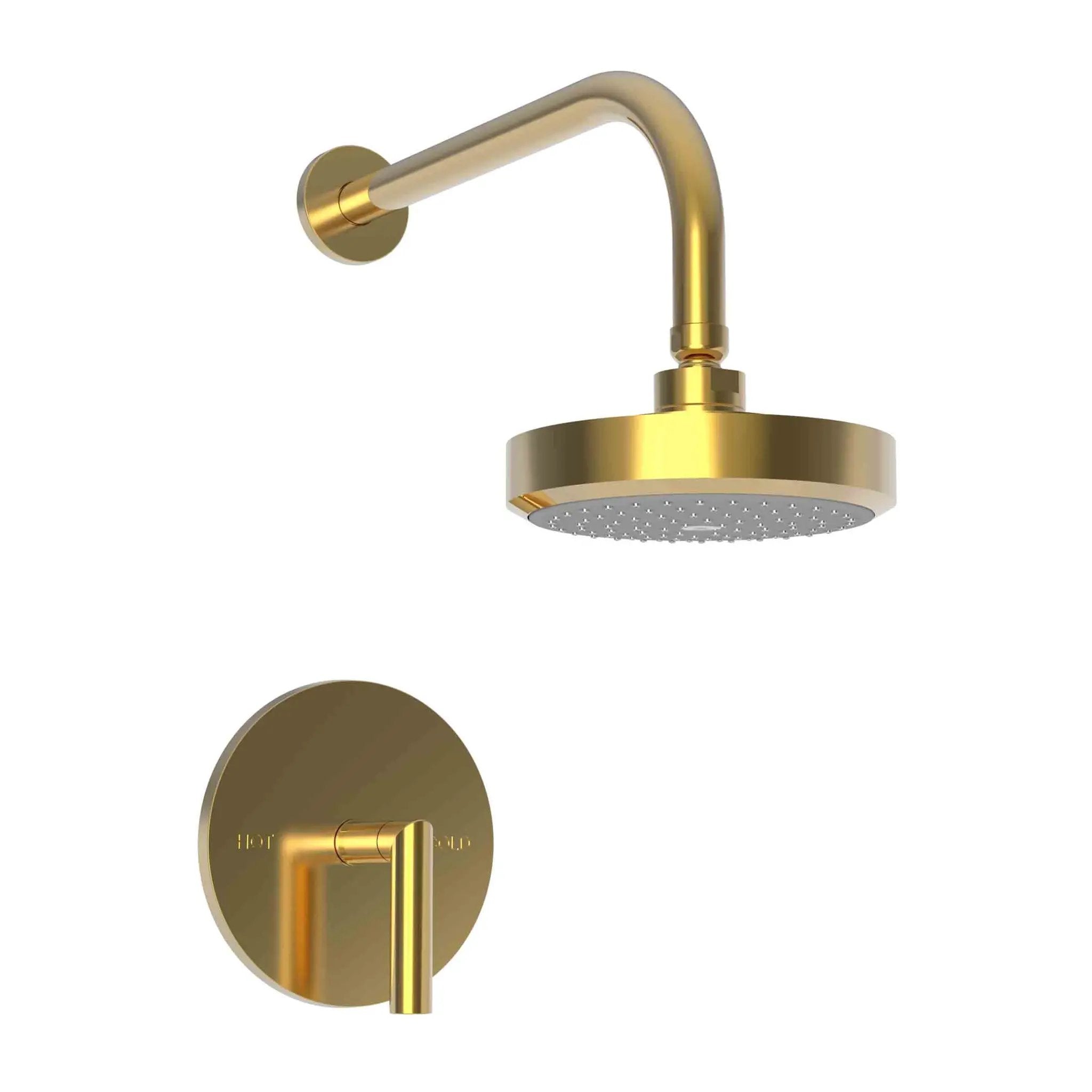 Newport Brass Pavani Balanced Pressure Shower Trim Set by Newport Brass