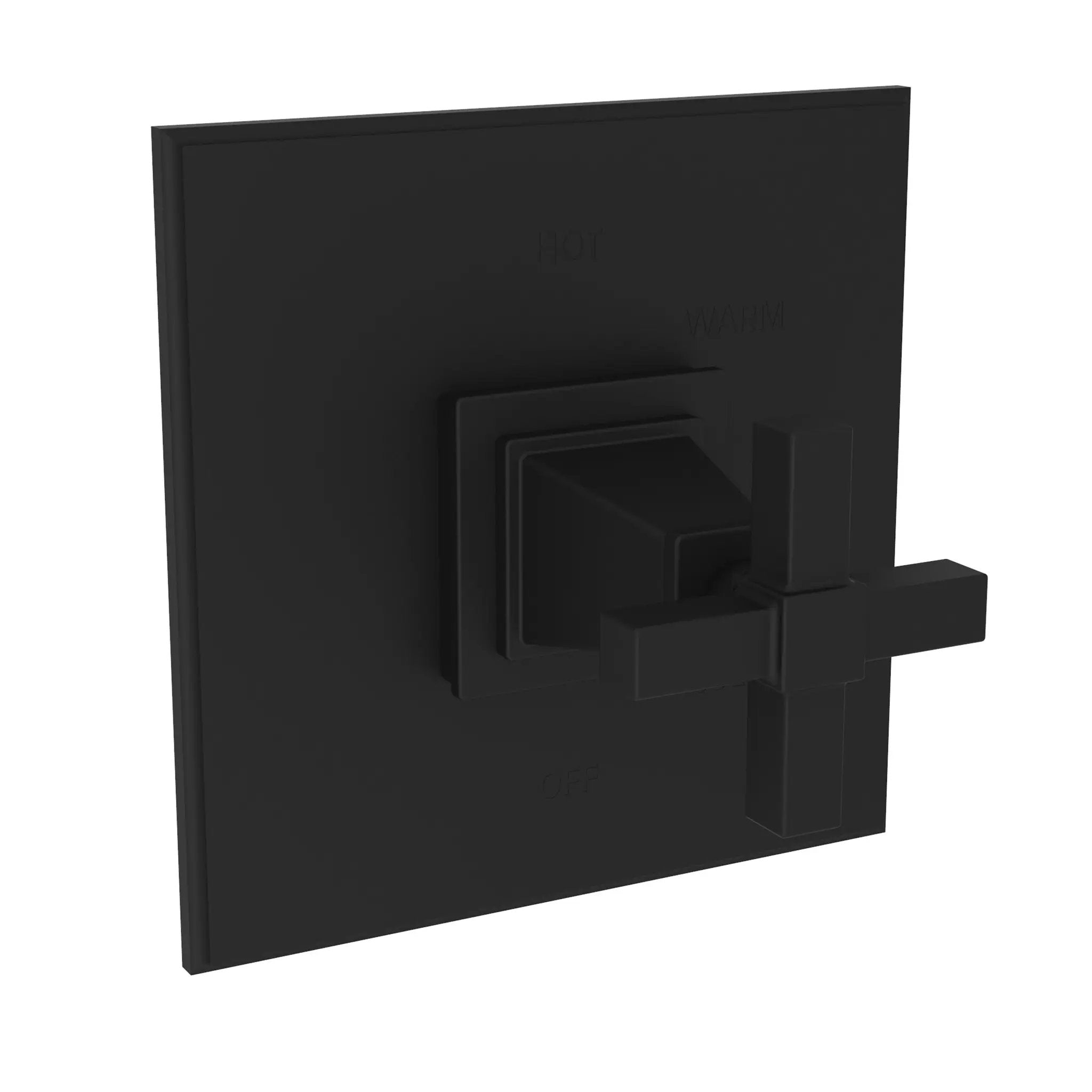 Newport Brass Malvina Balanced Pressure Shower Trim Plate with Handle. Less showerhead, arm and flange. by Newport Brass