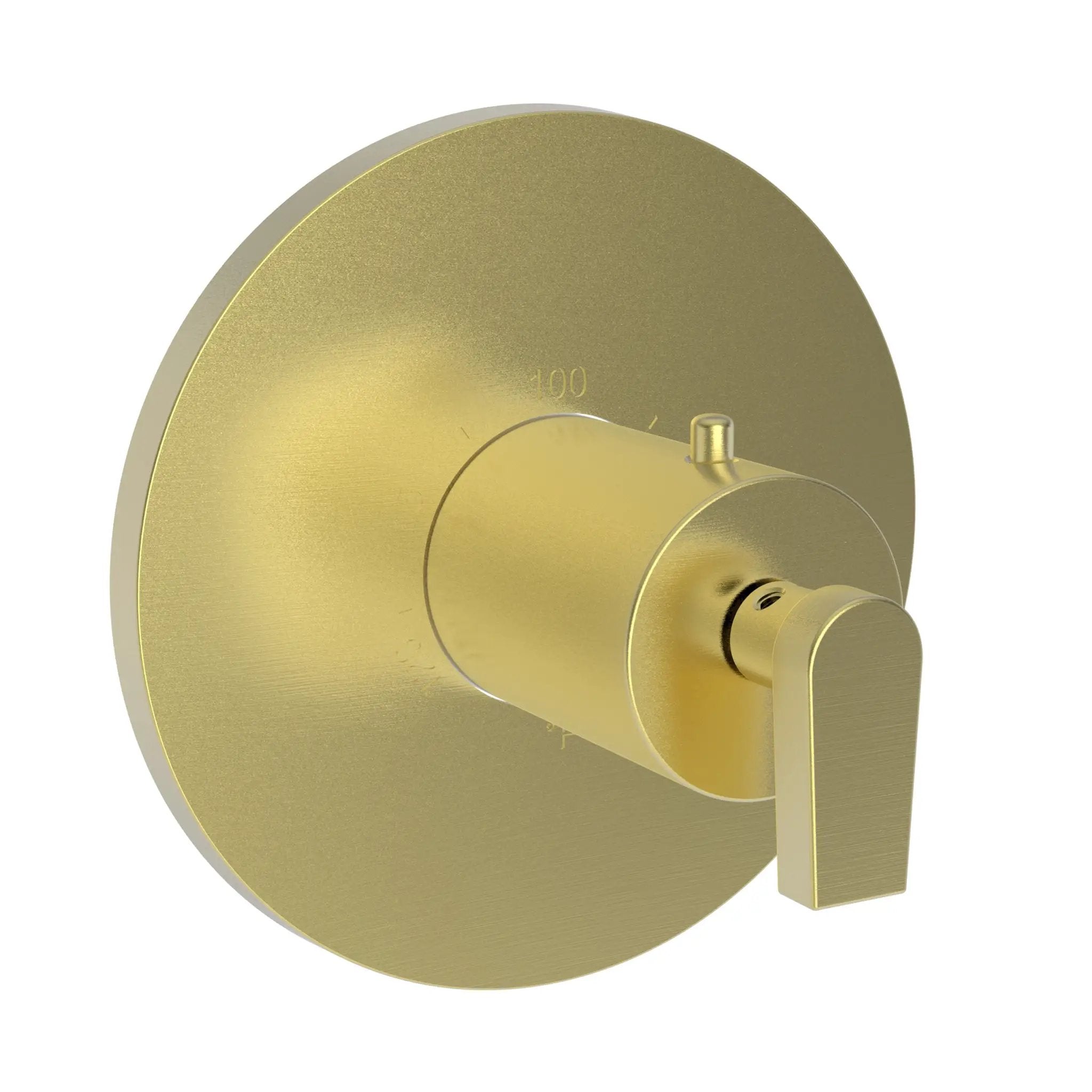 Newport Brass Dorrance 3/4" Round Thermostatic Trim Plate with Handle by Newport Brass