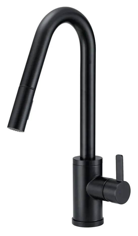 Danze by Gerber Amalfi 1H Pull-Down Kitchen Faucet w/SnapBack Retraction 1.75gpm by Danze