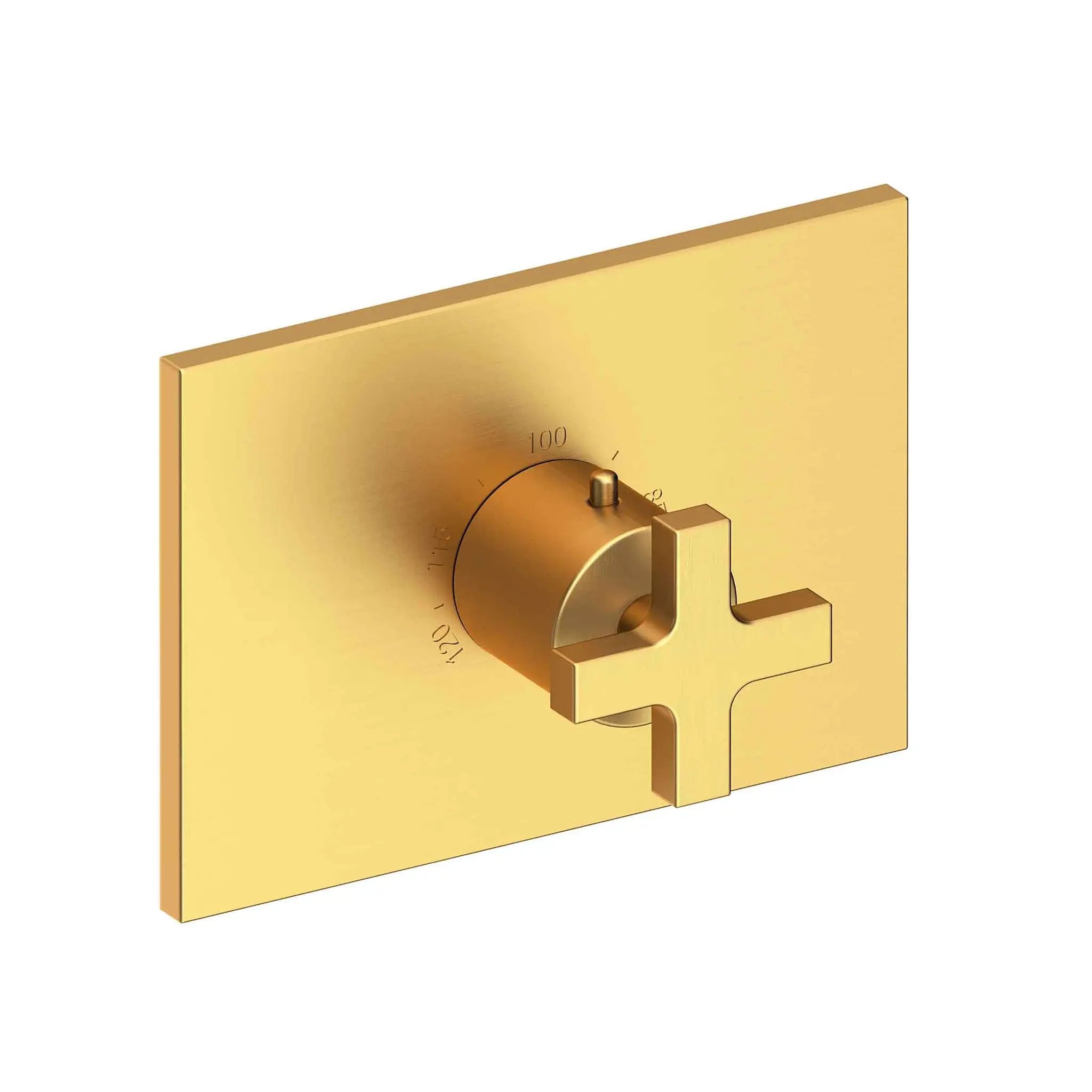 Newport Brass Secant 3/4" Rectangular Thermostatic Trim Plate with Handle by Newport Brass