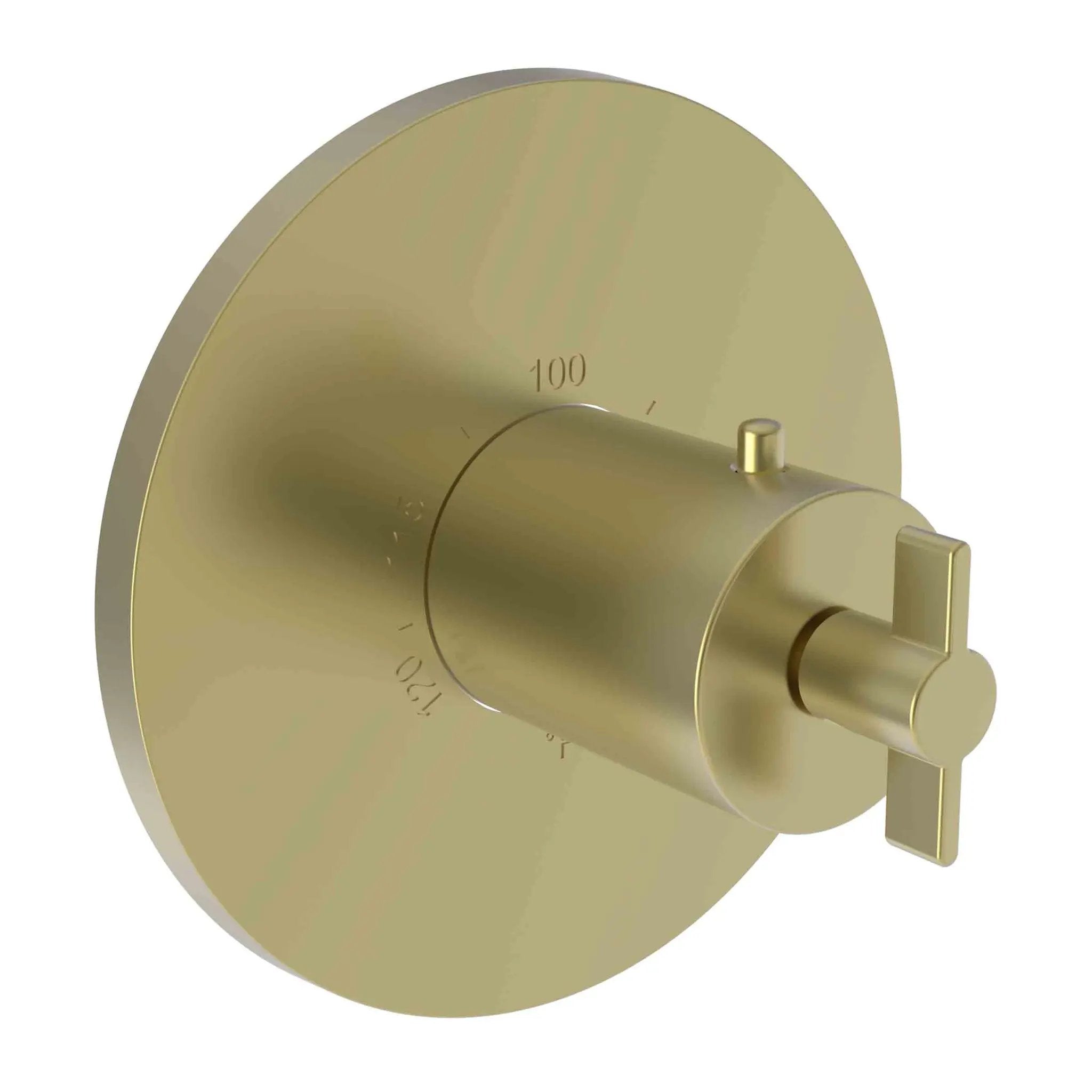 Newport Brass Tolmin 3/4" Round Thermostatic Trim Plate with Handle by Newport Brass