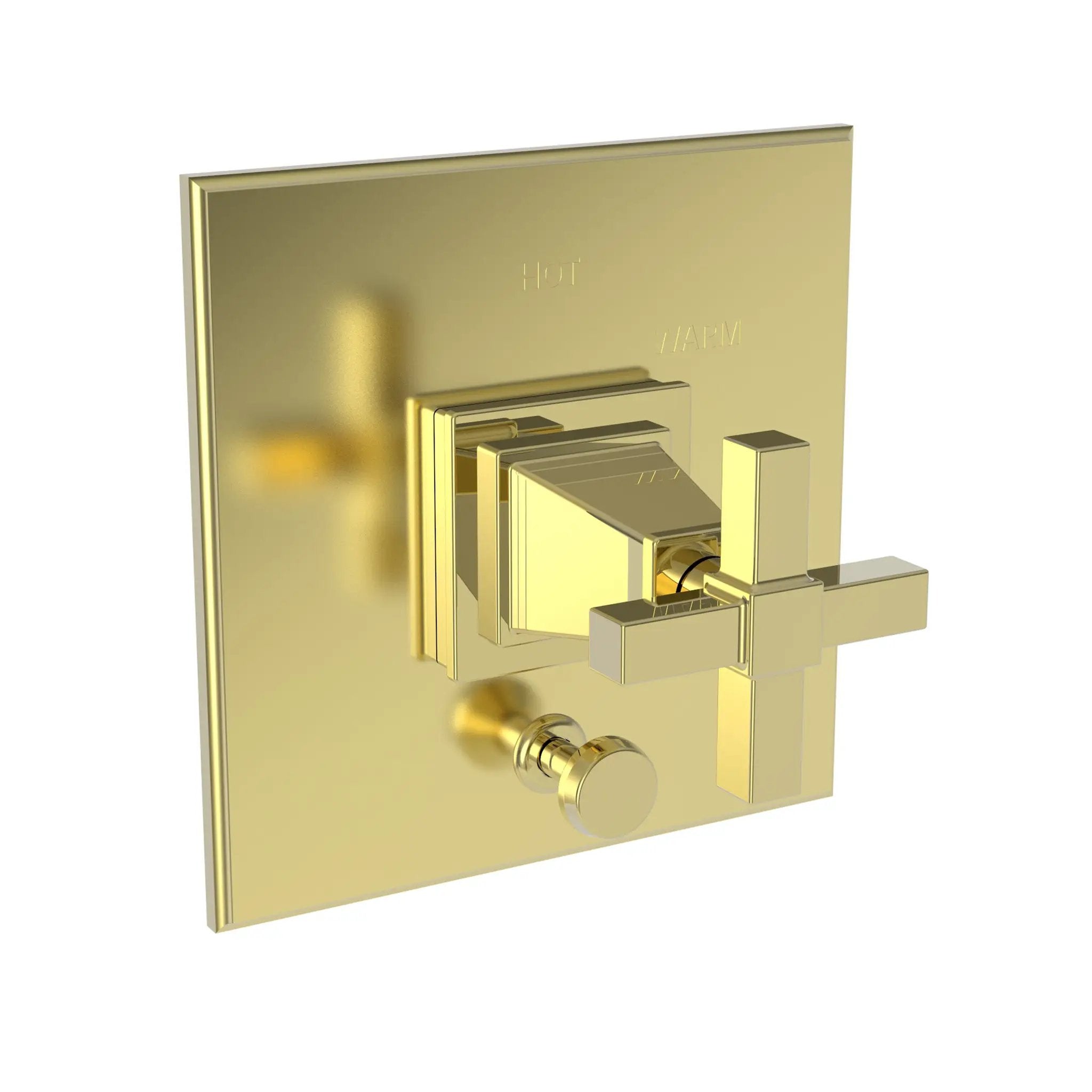 Newport Brass Malvina Balanced Pressure Tub & Shower Diverter Plate with Handle by Newport Brass