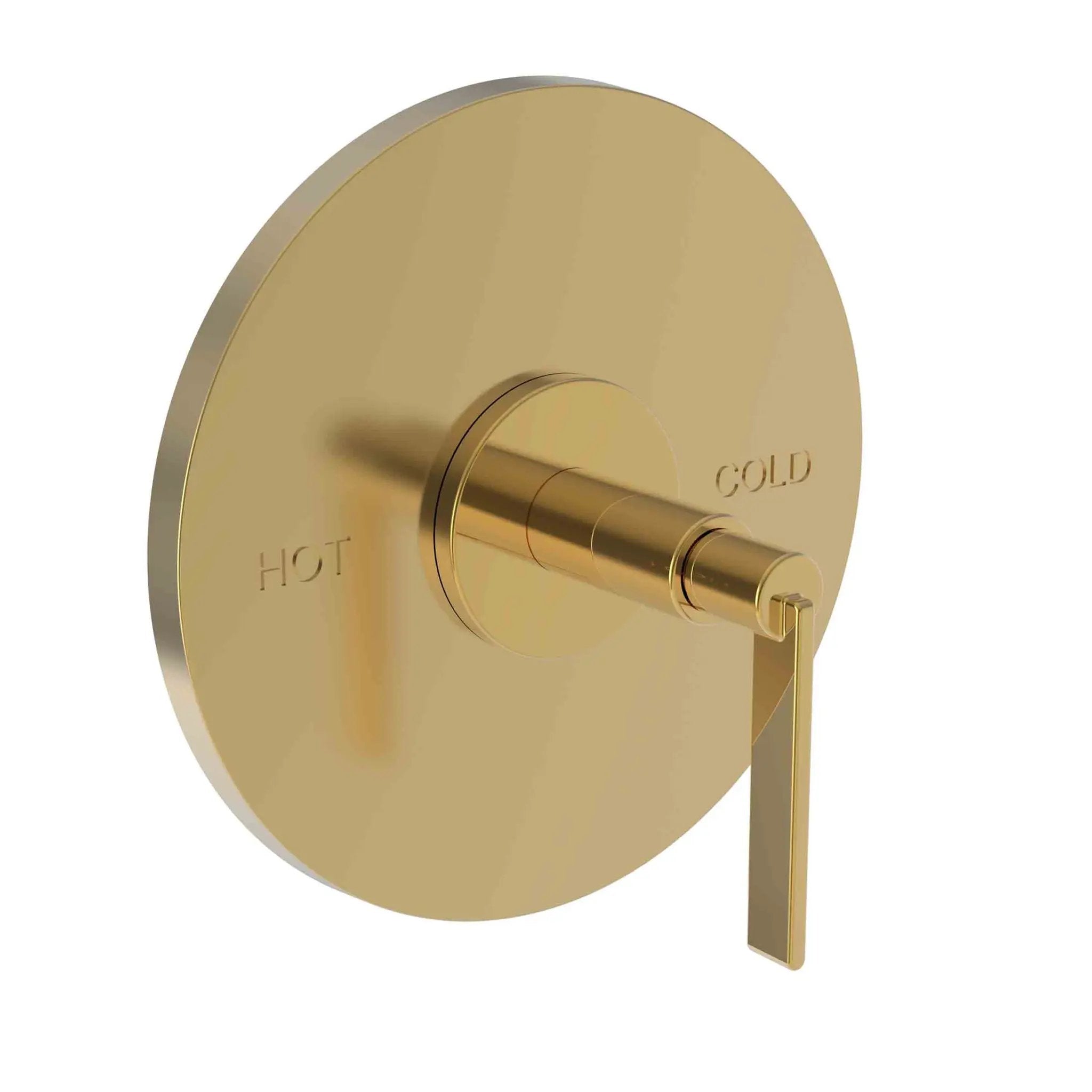 Newport Brass Tolmin Balanced Pressure Shower Trim Plate with Handle. Less showerhead, arm and flange. by Newport Brass