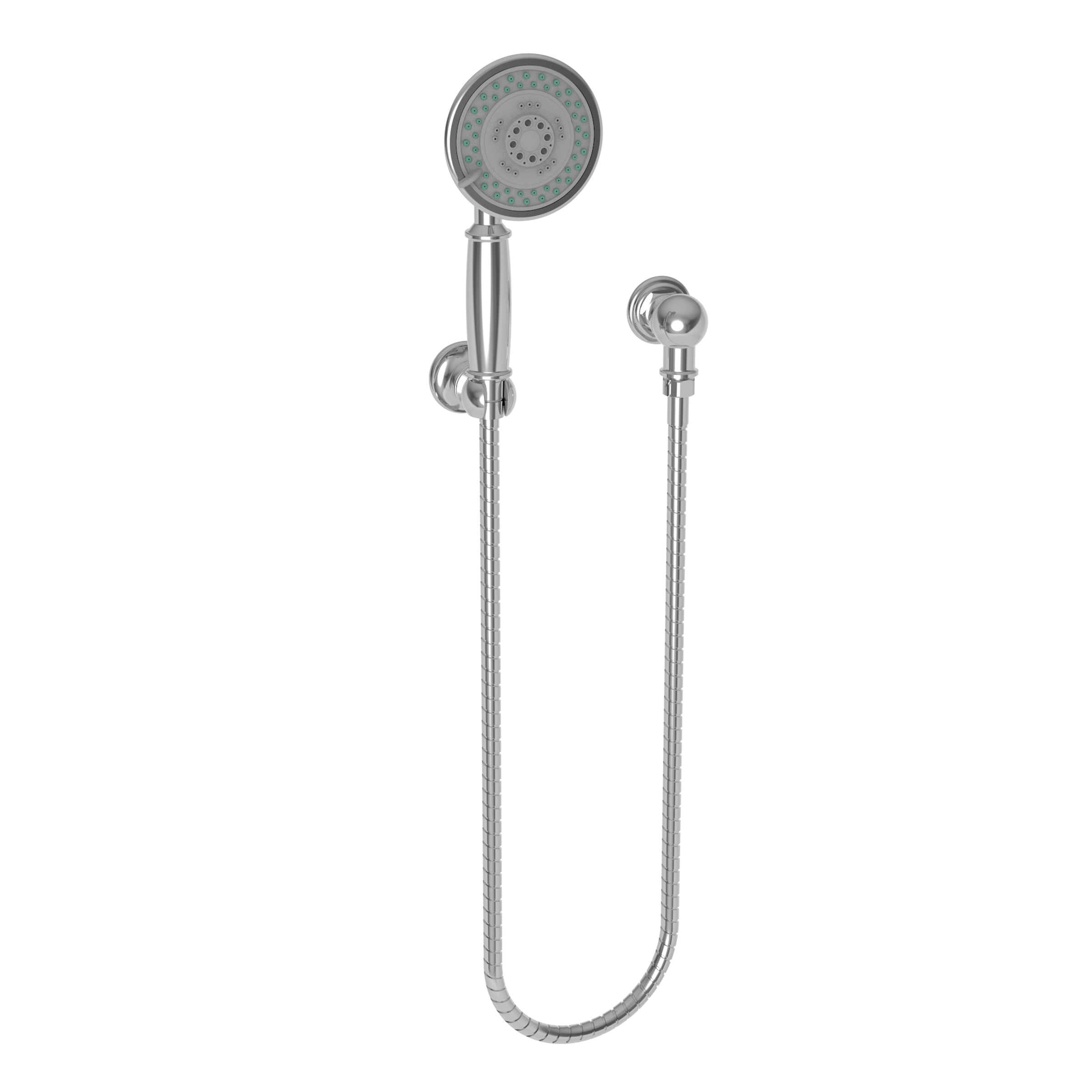 polished chrome hand shower