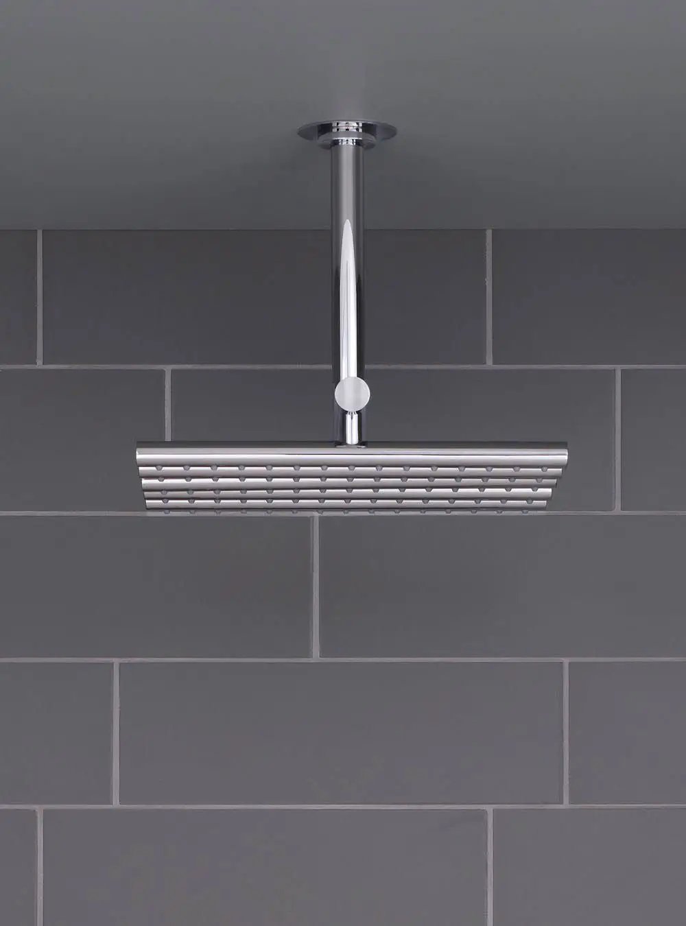 chrome showerhead