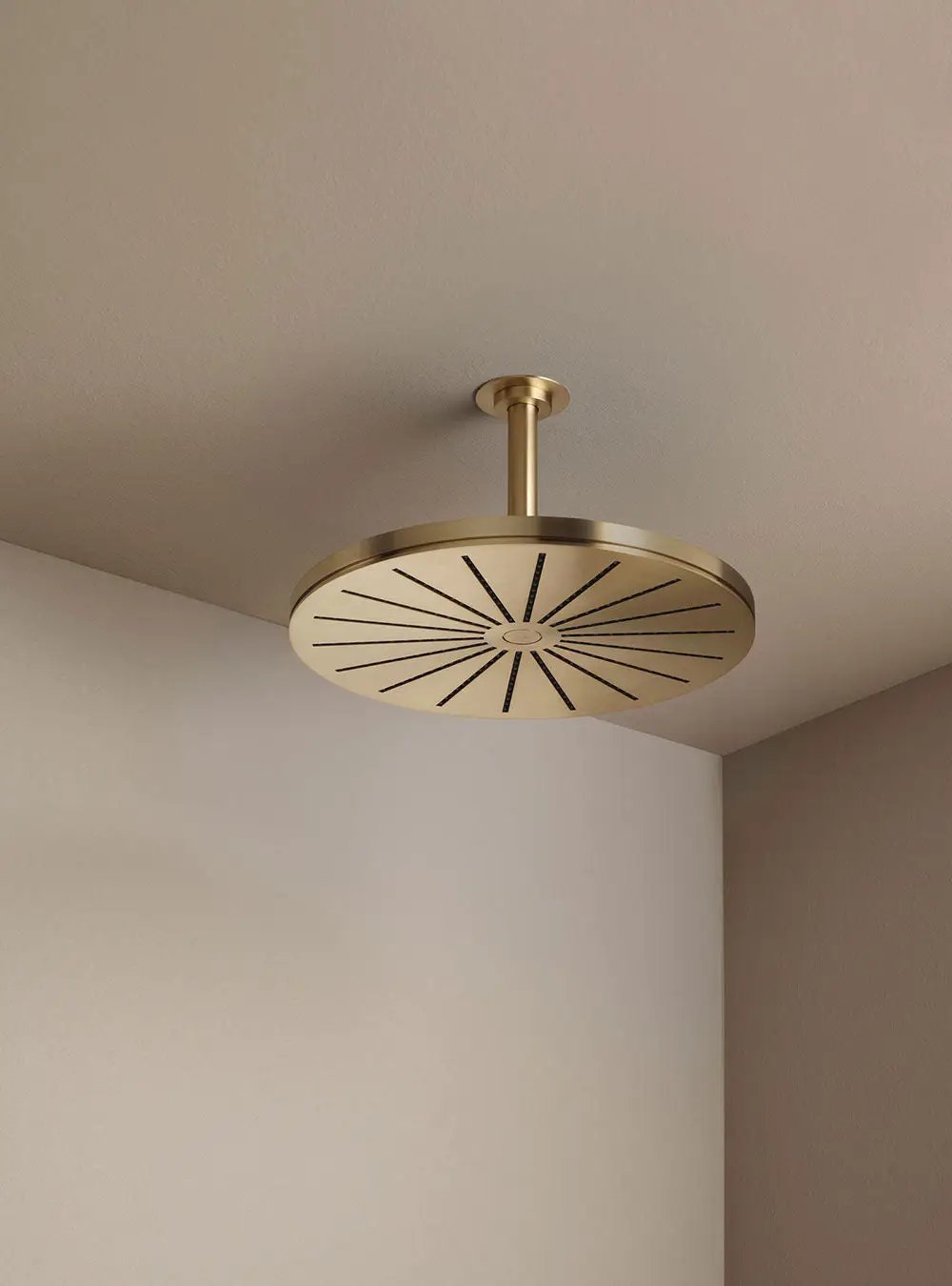 brushed gold showerhead
