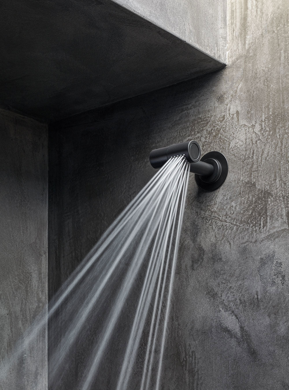 brushed black showerhead