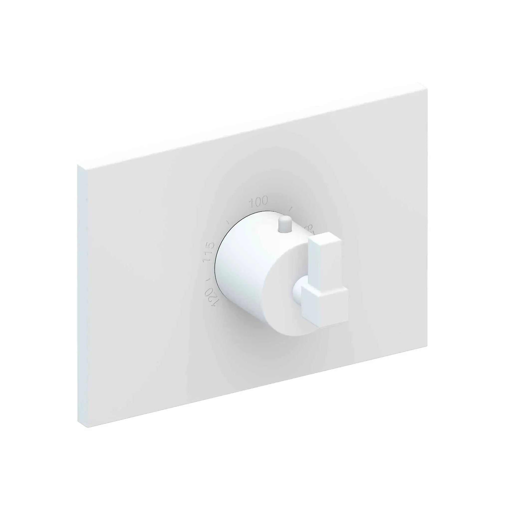 Newport Brass Malvina 3/4" Square Thermostatic Trim Plate with Handle by Newport Brass