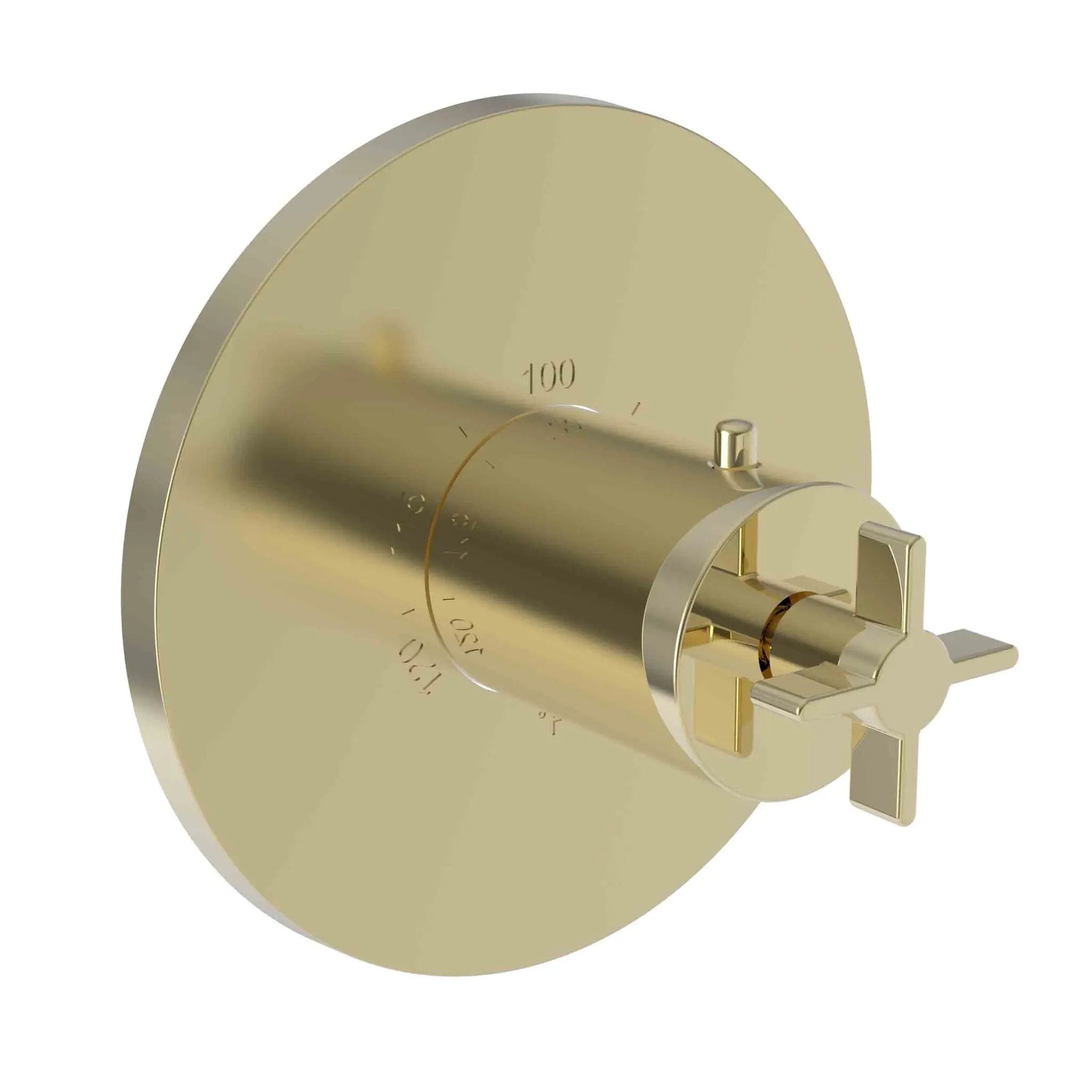 Newport Brass Tolmin 3/4" Round Thermostatic Trim Plate with Handle by Newport Brass