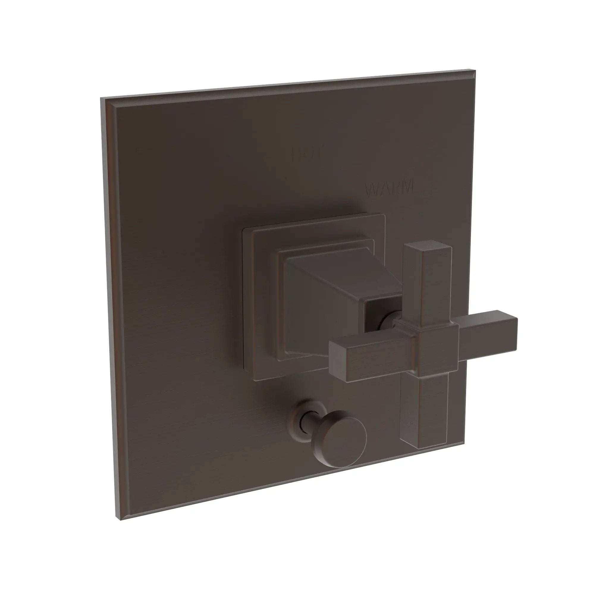 Newport Brass Malvina Balanced Pressure Tub & Shower Diverter Plate with Handle by Newport Brass
