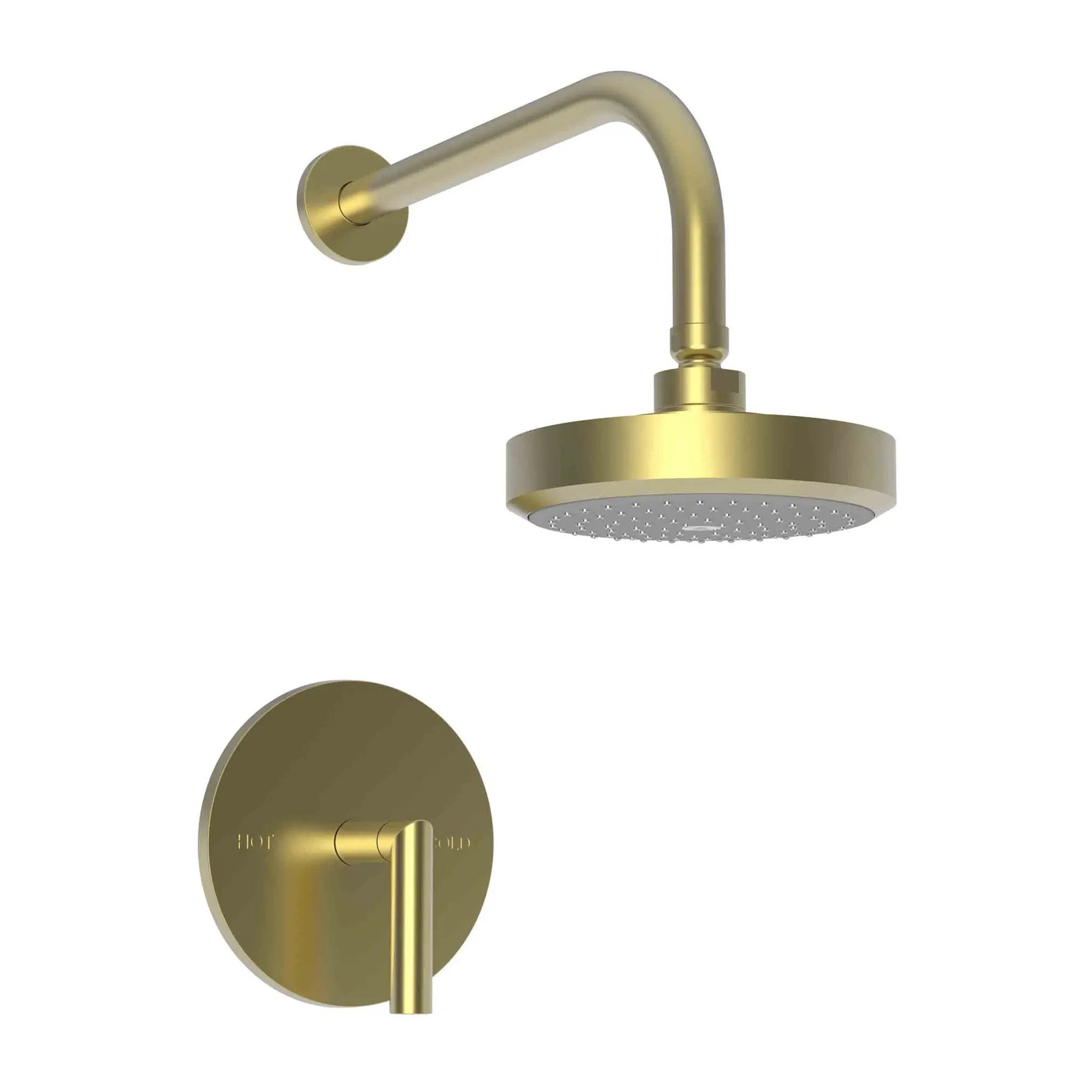 Newport Brass Pavani Balanced Pressure Shower Trim Set by Newport Brass