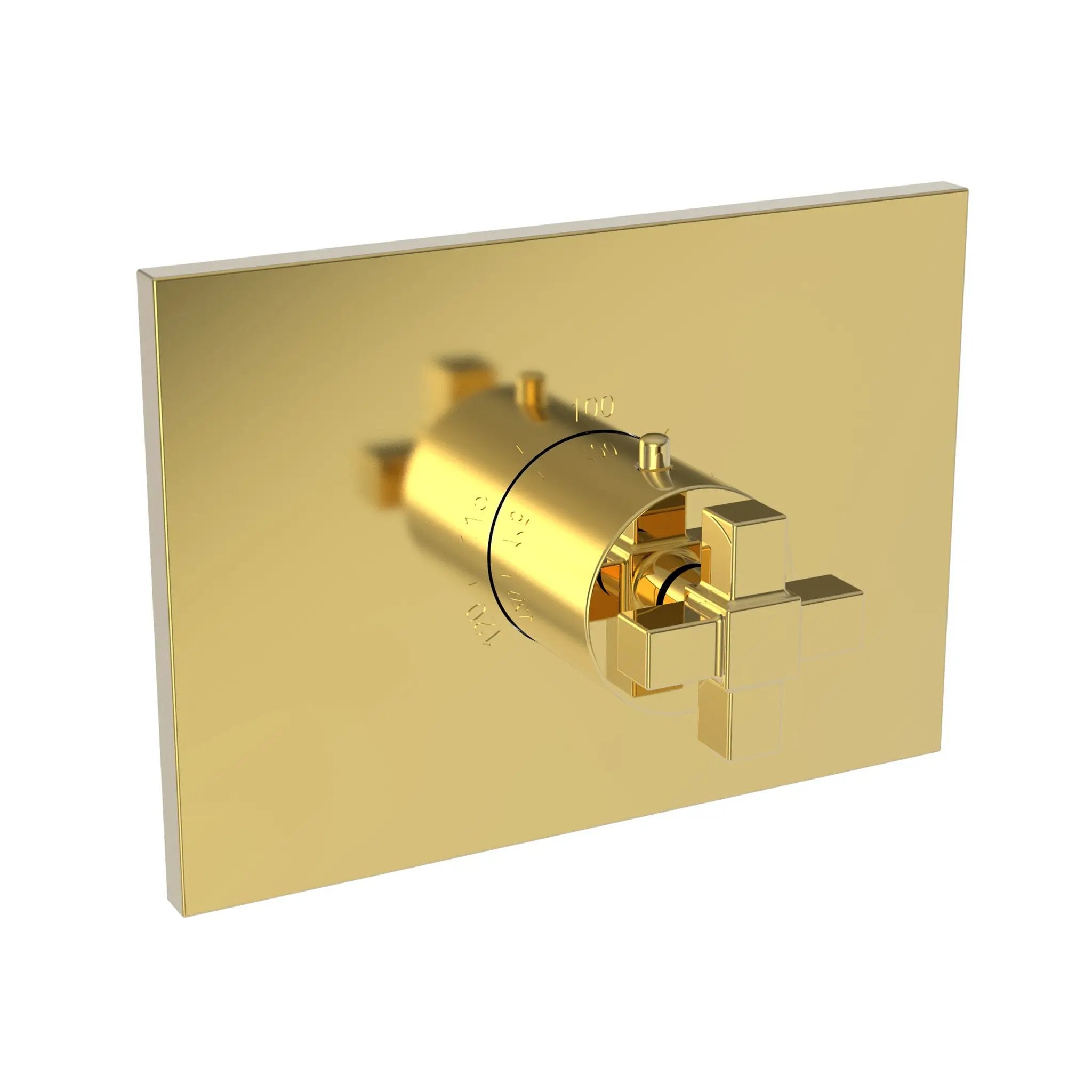 Newport Brass Malvina 3/4" Square Thermostatic Trim Plate with Handle by Newport Brass
