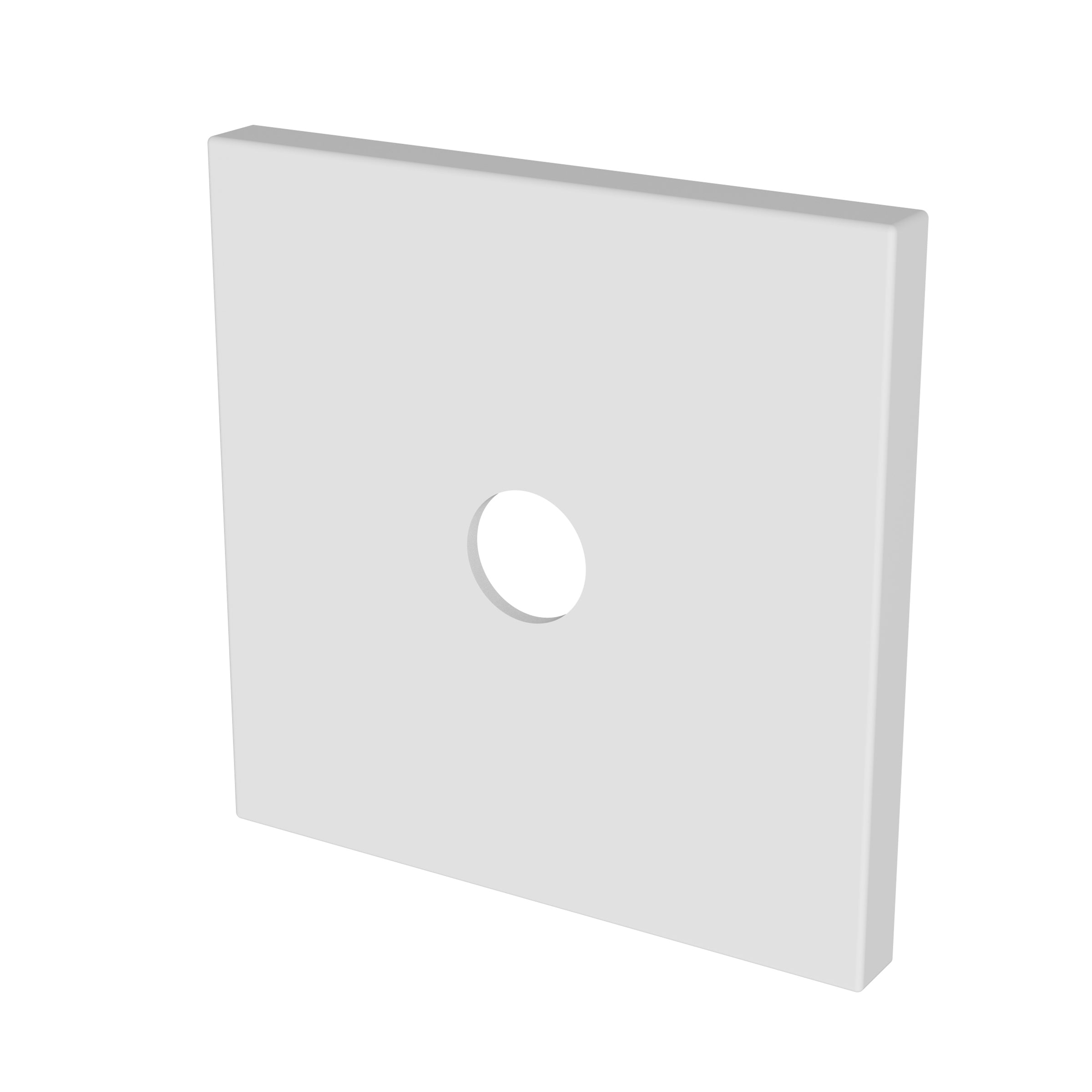 Newport Brass Tub & Shower Diverter Plate