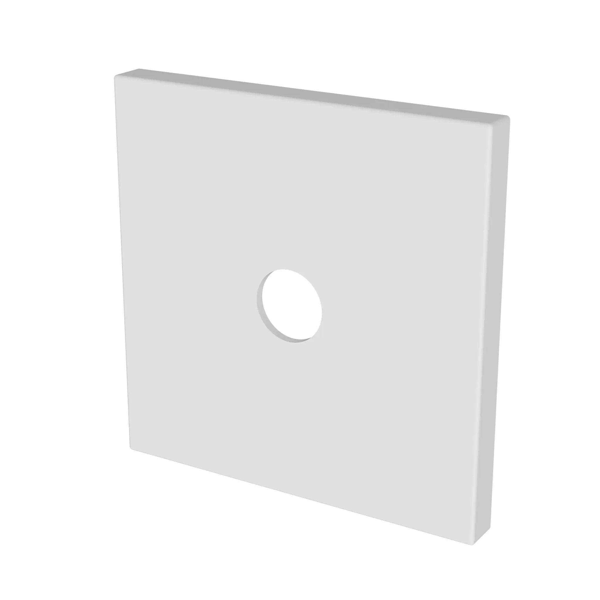 Newport Brass Tub & Shower Diverter Plate by Newport Brass