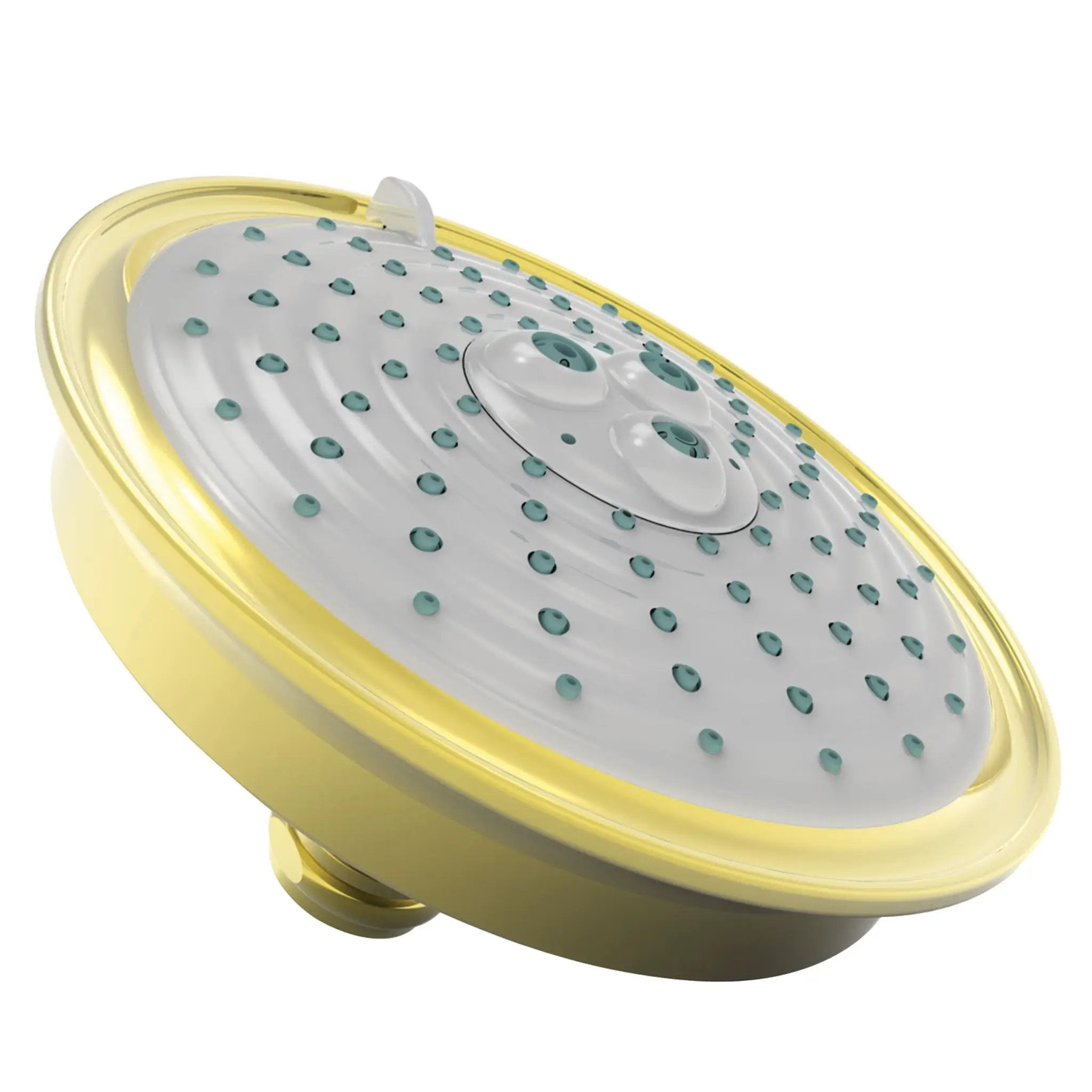 Newport Brass Tub & Shower Multifunction Showerhead by Newport Brass