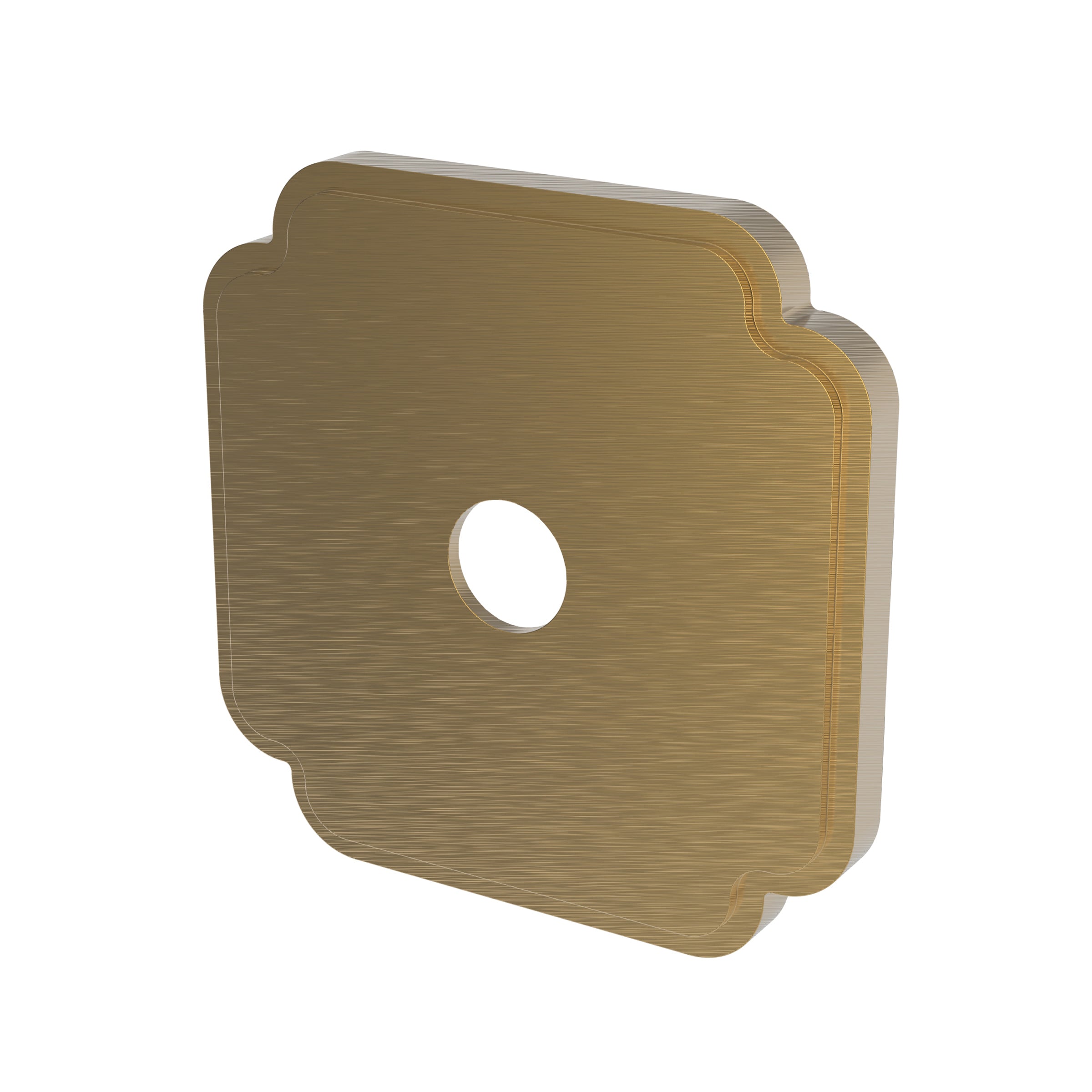 Newport Brass Tub & Shower Diverter Plate