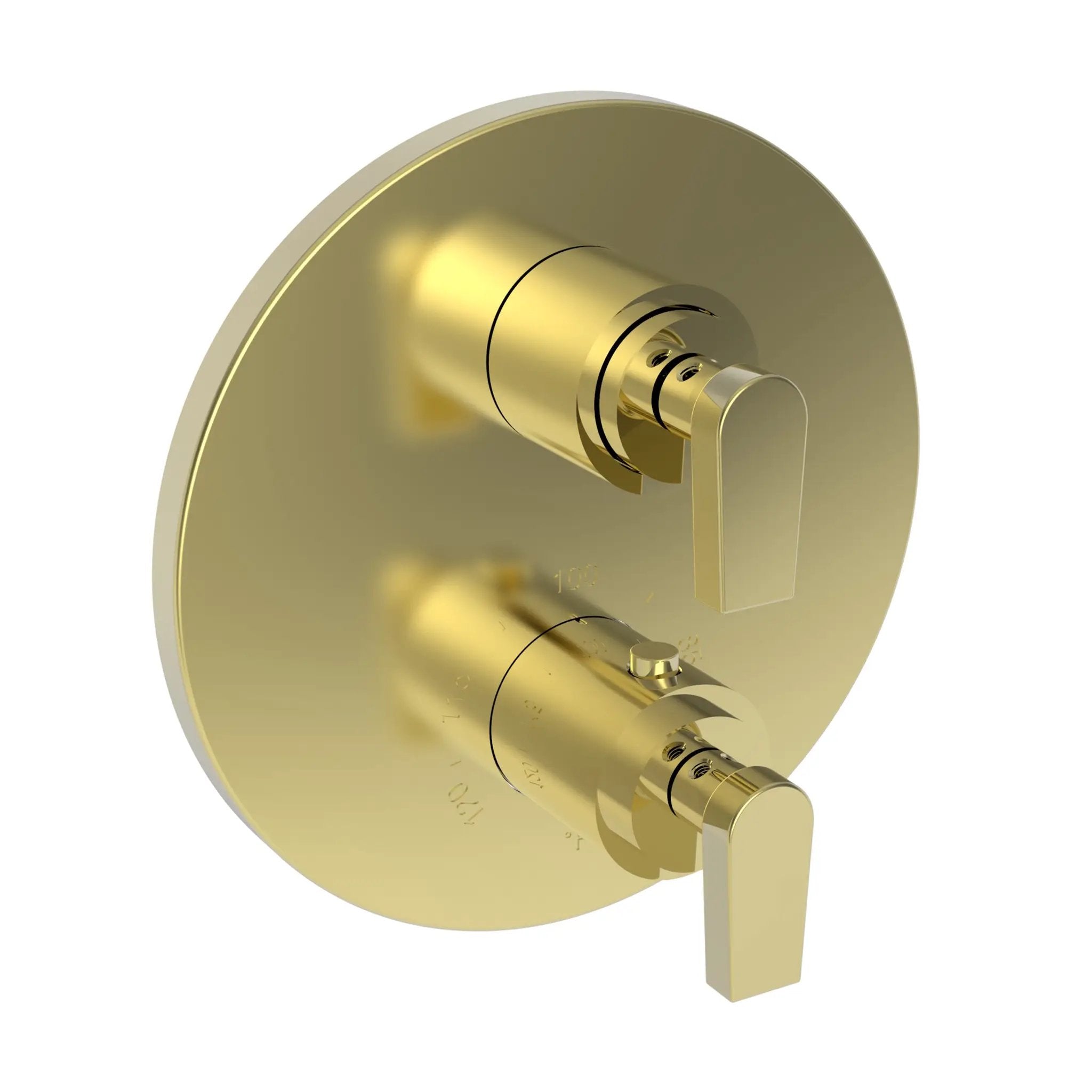 Newport Brass Dorrance 1/2" Round Thermostatic Trim Plate with Handle by Newport Brass