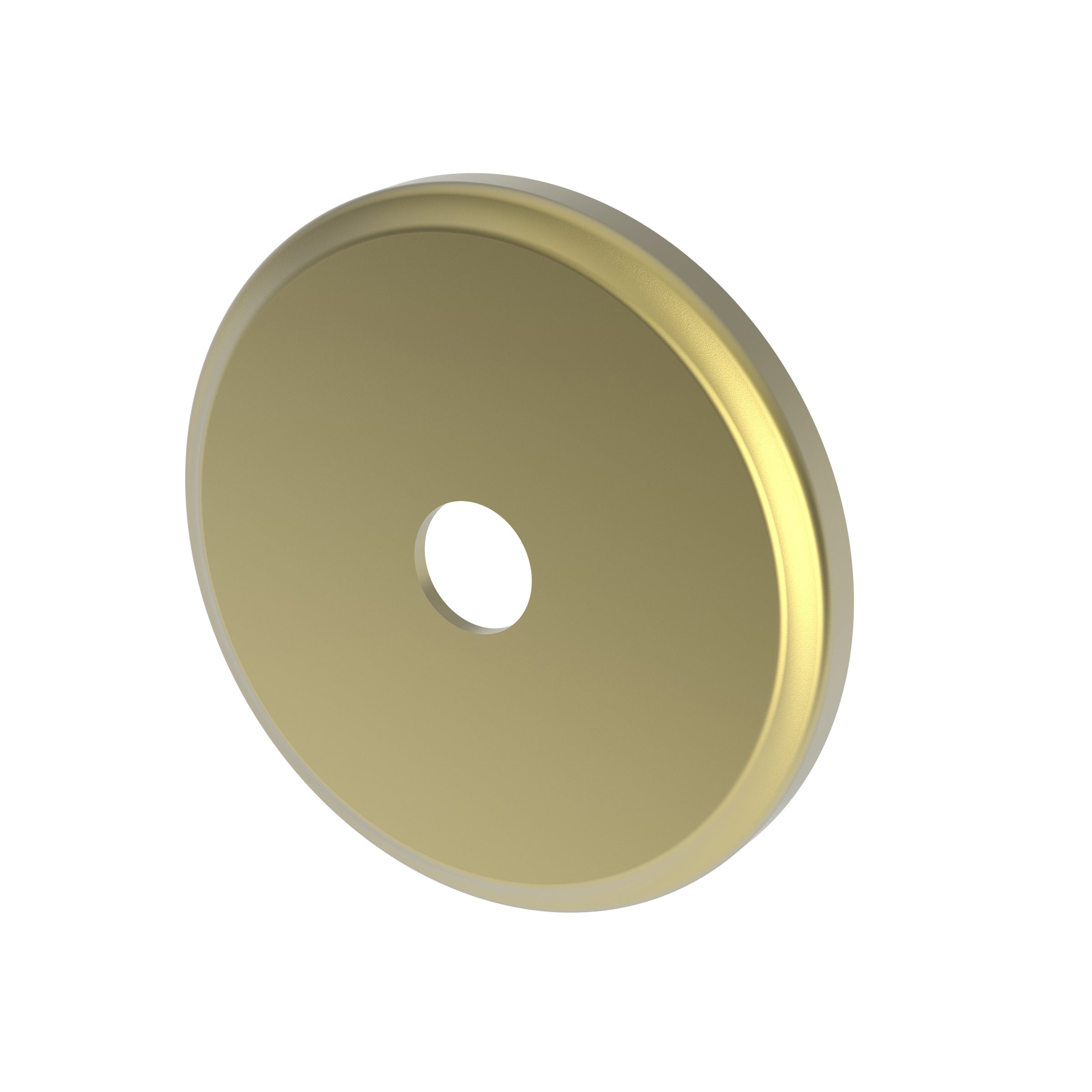 Newport Brass Tub & Shower Diverter Plate