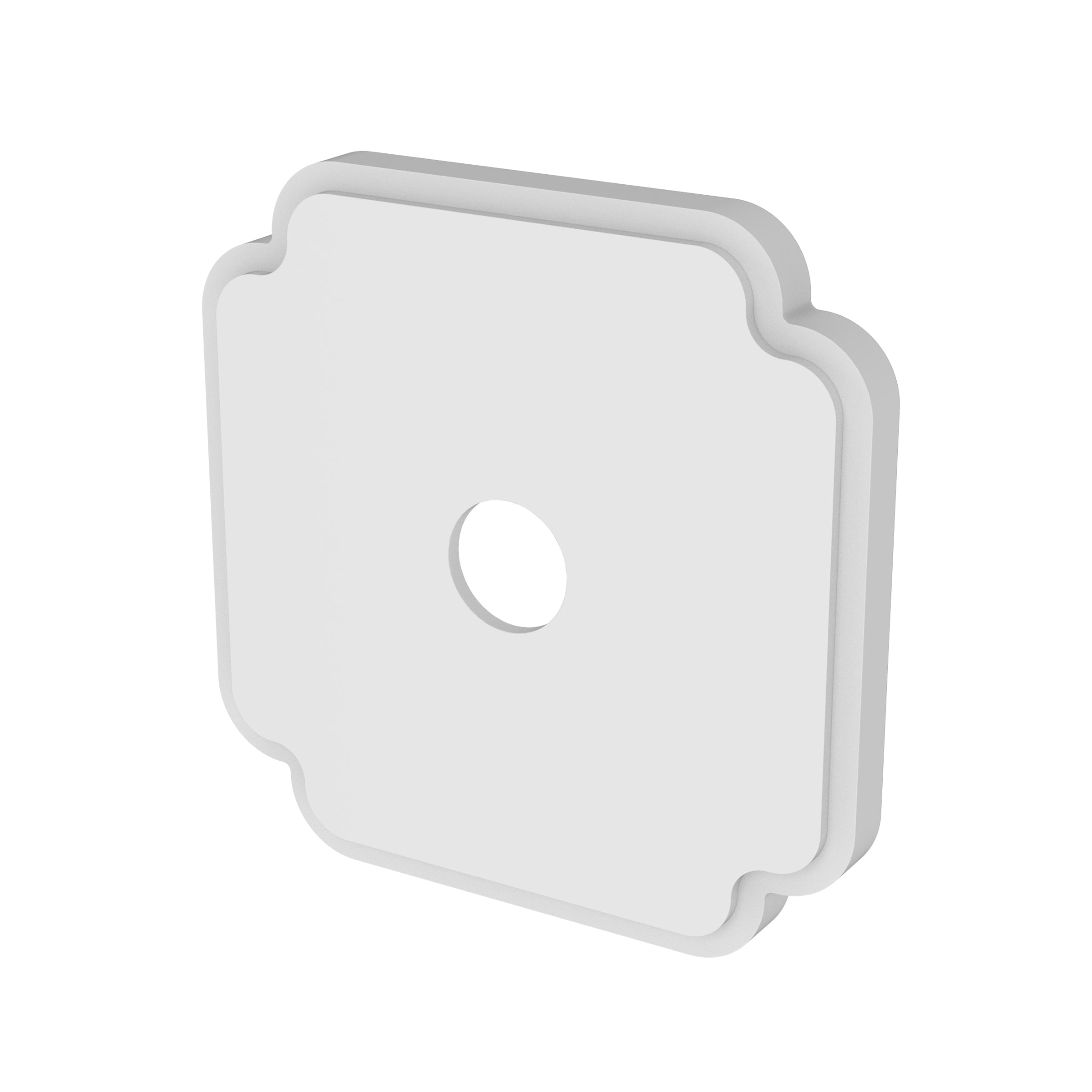 Newport Brass Tub & Shower Diverter Plate