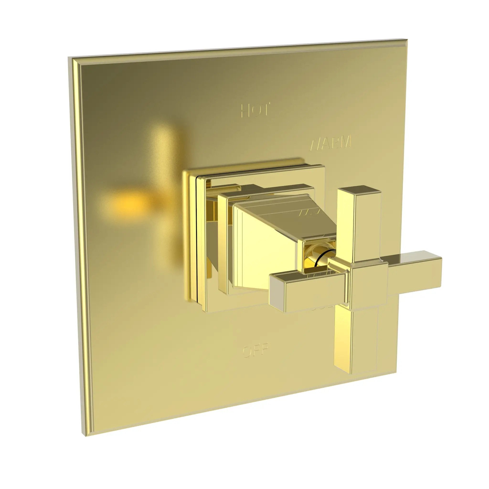 Newport Brass Malvina Balanced Pressure Shower Trim Plate with Handle. Less showerhead, arm and flange. by Newport Brass