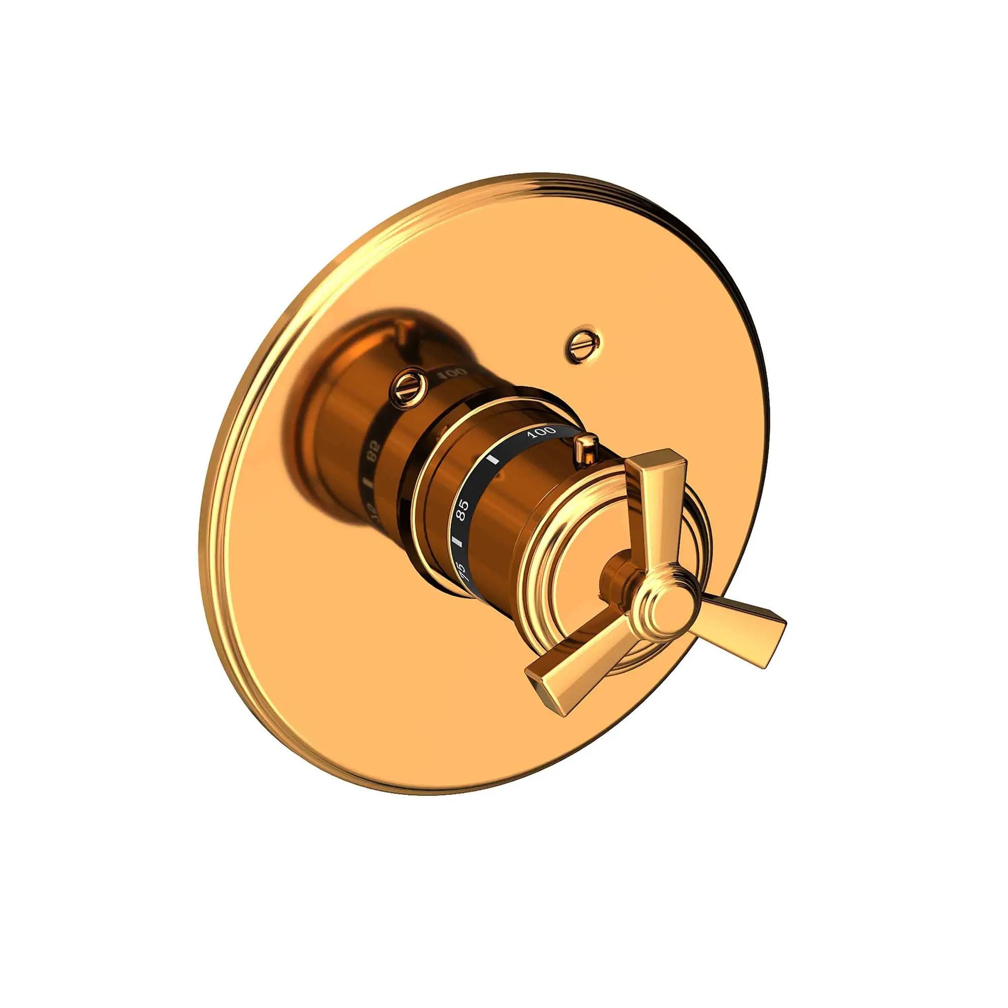 Newport Brass Miro 3/4" Round Thermostatic Trim Plate with Handle by Newport Brass