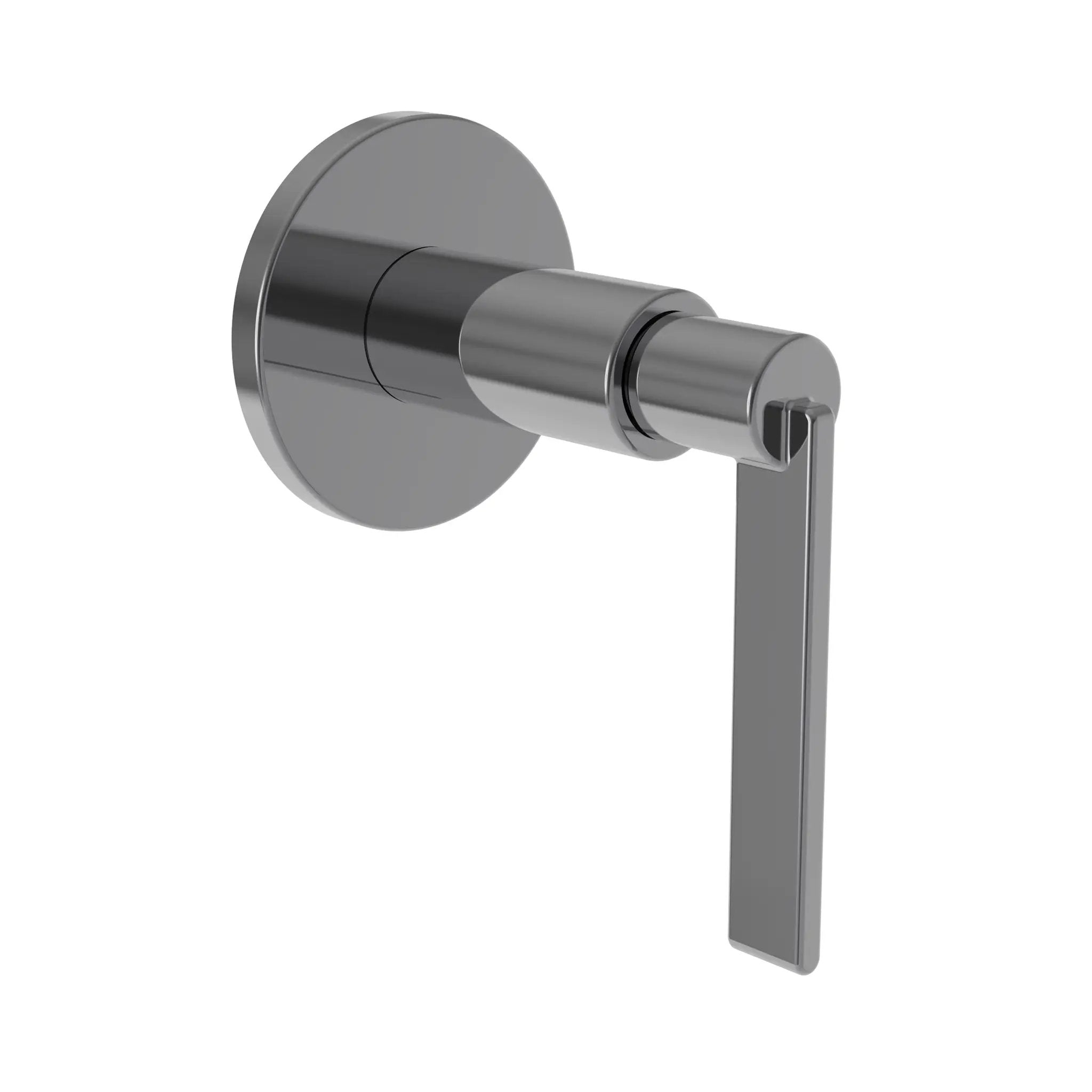 Newport Brass Tolmin Diverter/Flow Control Handle by Newport Brass