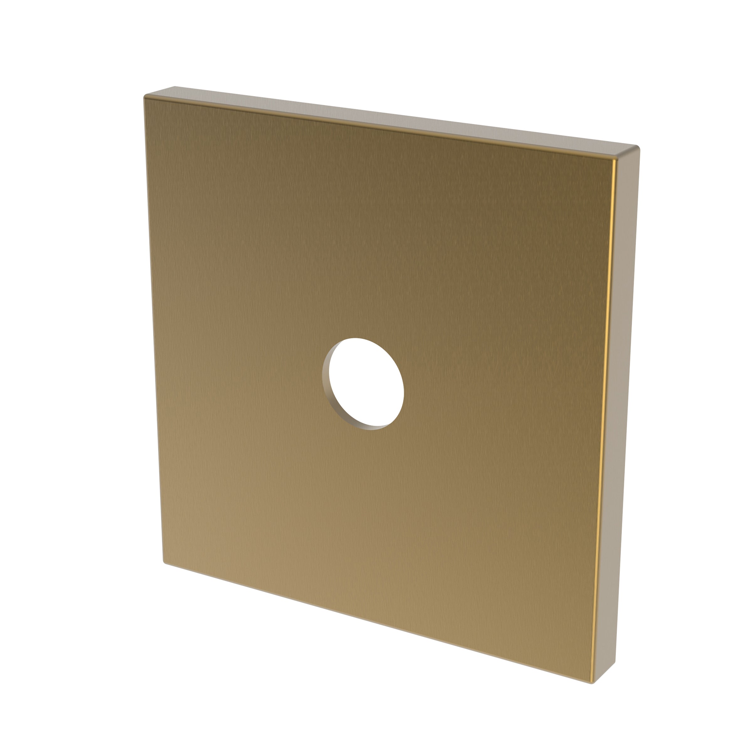 Newport Brass Tub & Shower Diverter Plate