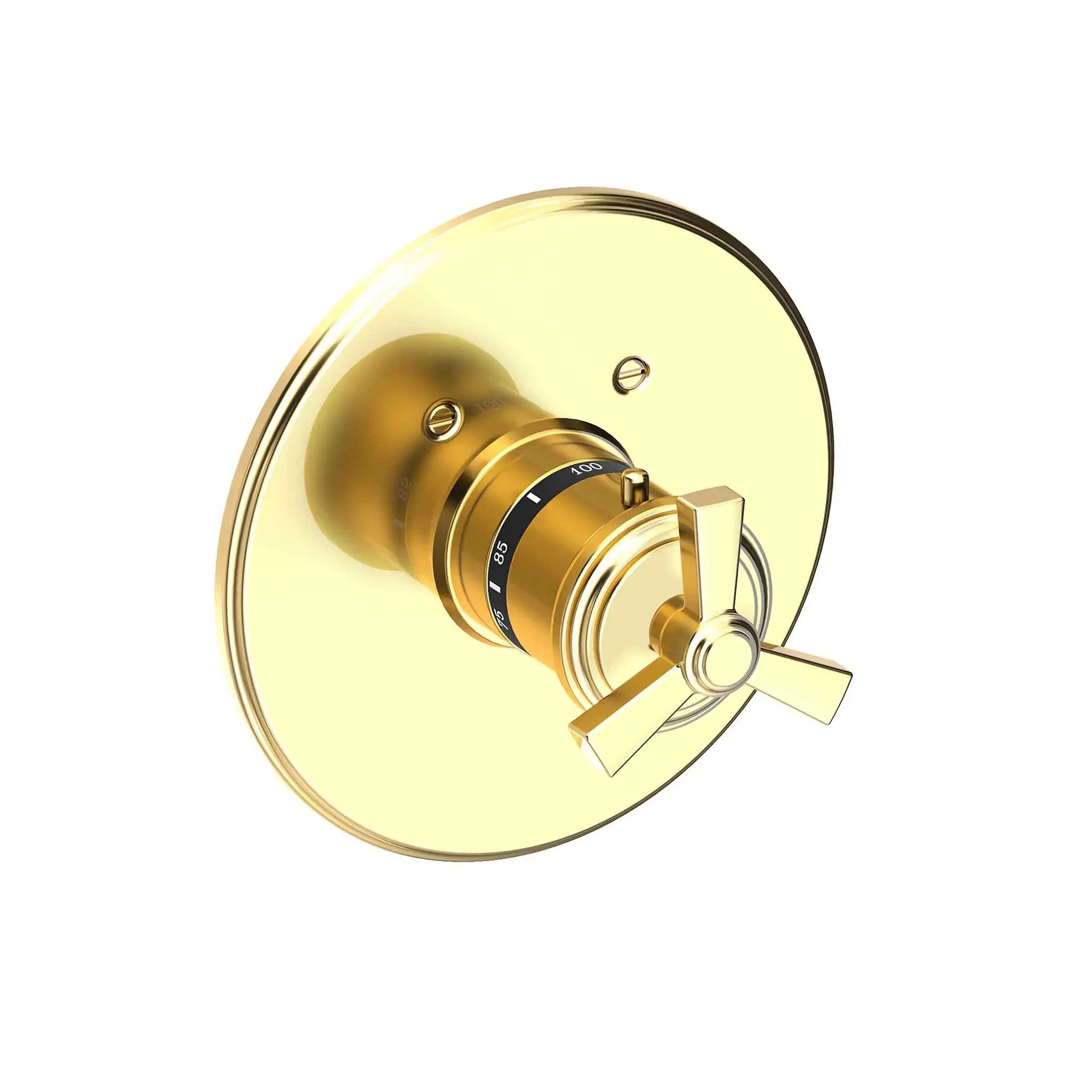 Newport Brass Miro 3/4" Round Thermostatic Trim Plate with Handle by Newport Brass
